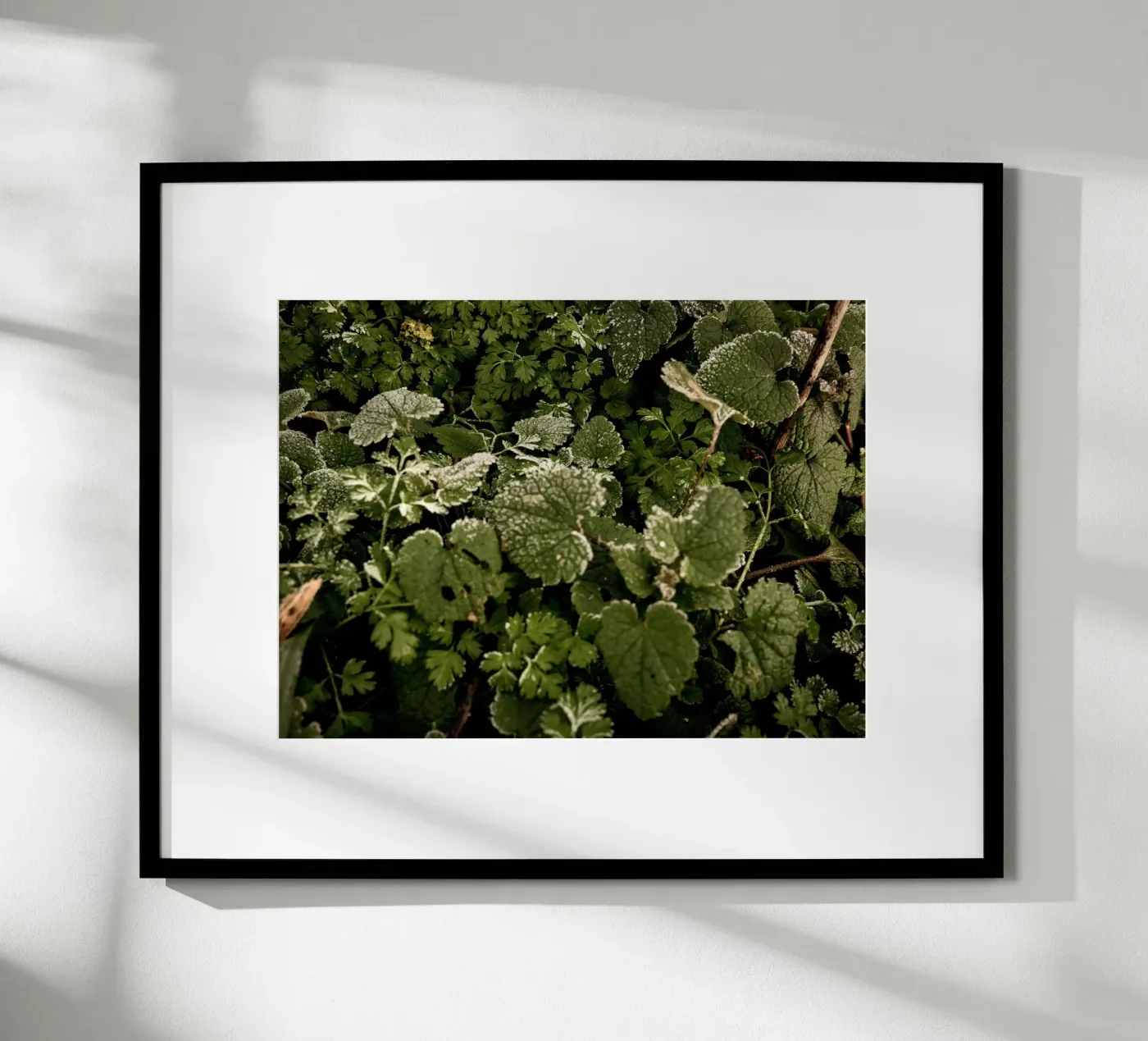 Winter bosbodem poster van Janine Sommer Fotografie