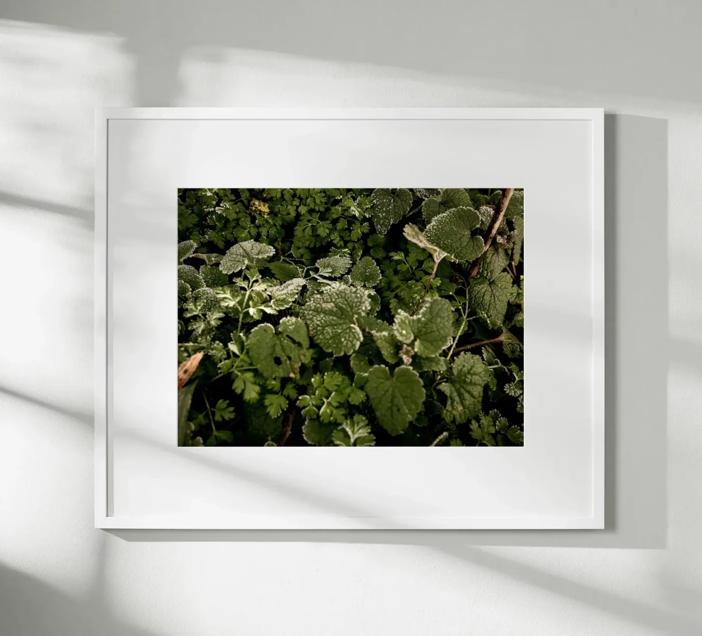 Winter bosbodem poster van Janine Sommer Fotografie