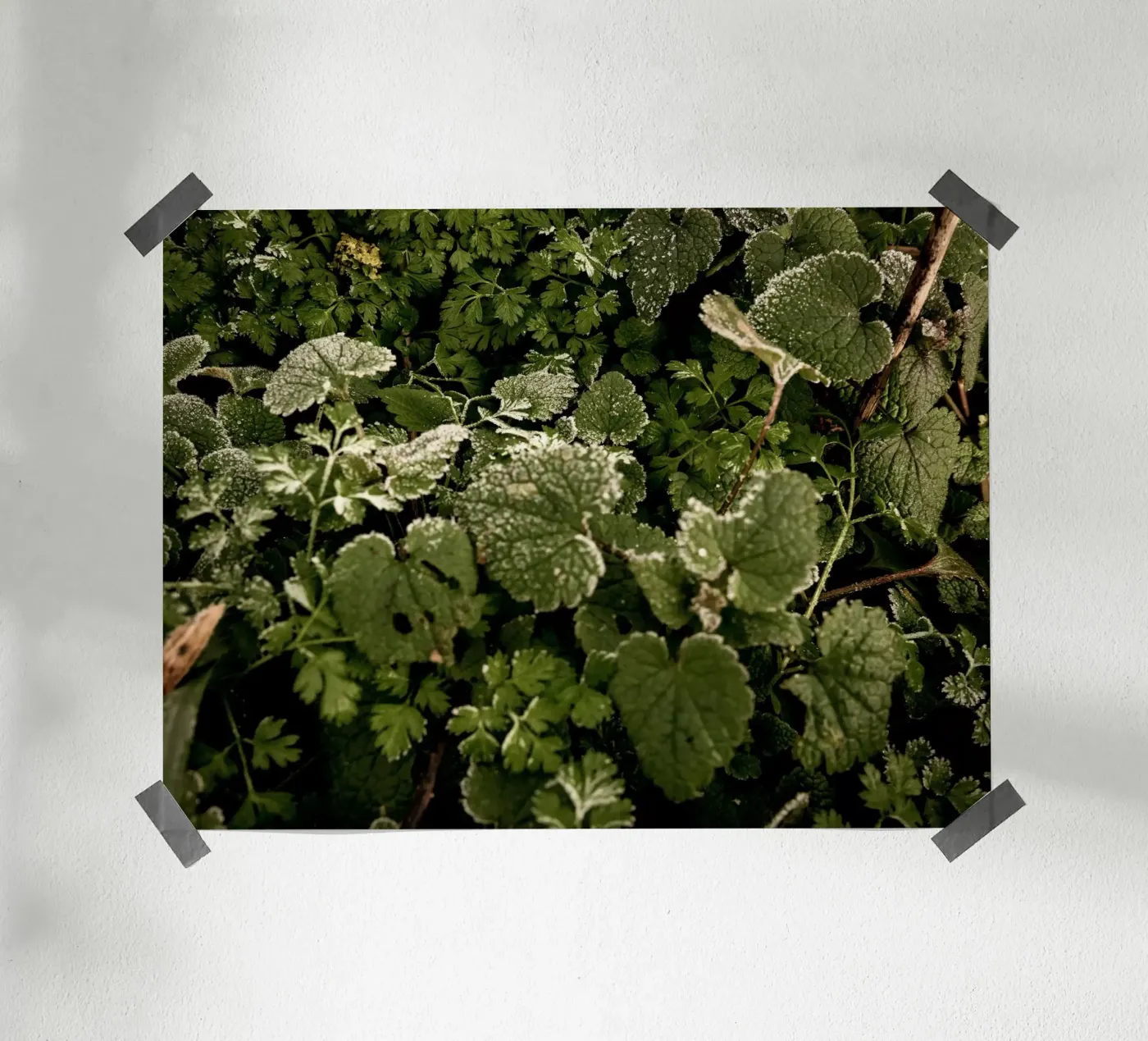 Winter bosbodem poster van Janine Sommer Fotografie