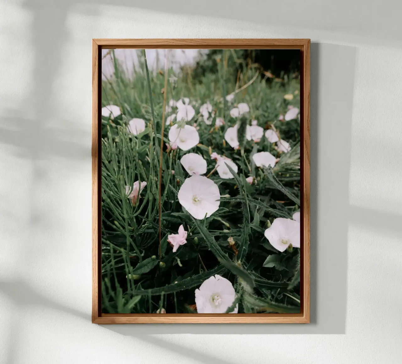 Fiori selvatici alluminio dibond da Janine Sommer Fotografie