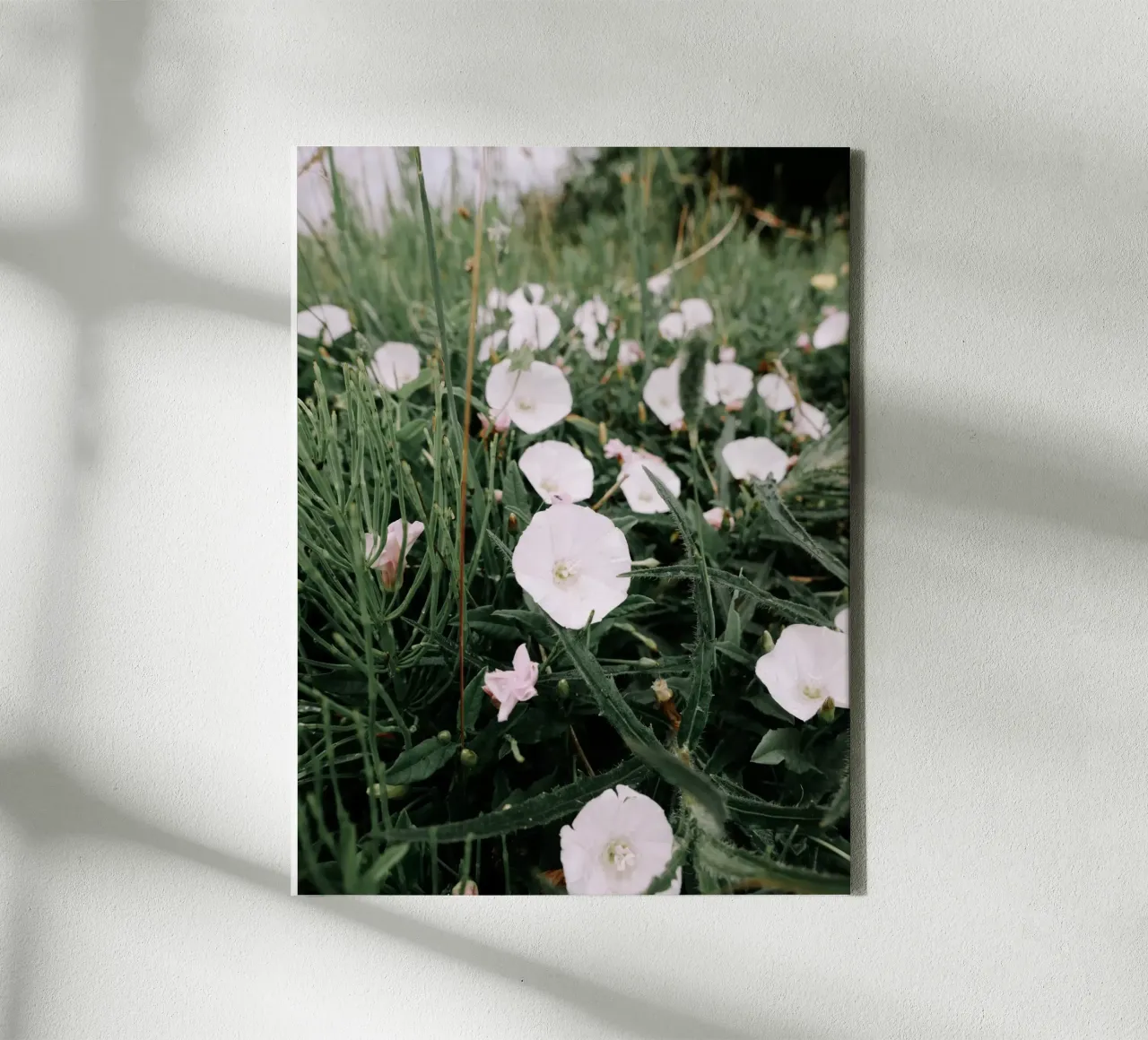 Fiori selvatici tela con Cornice a cassetta da Janine Sommer Fotografie