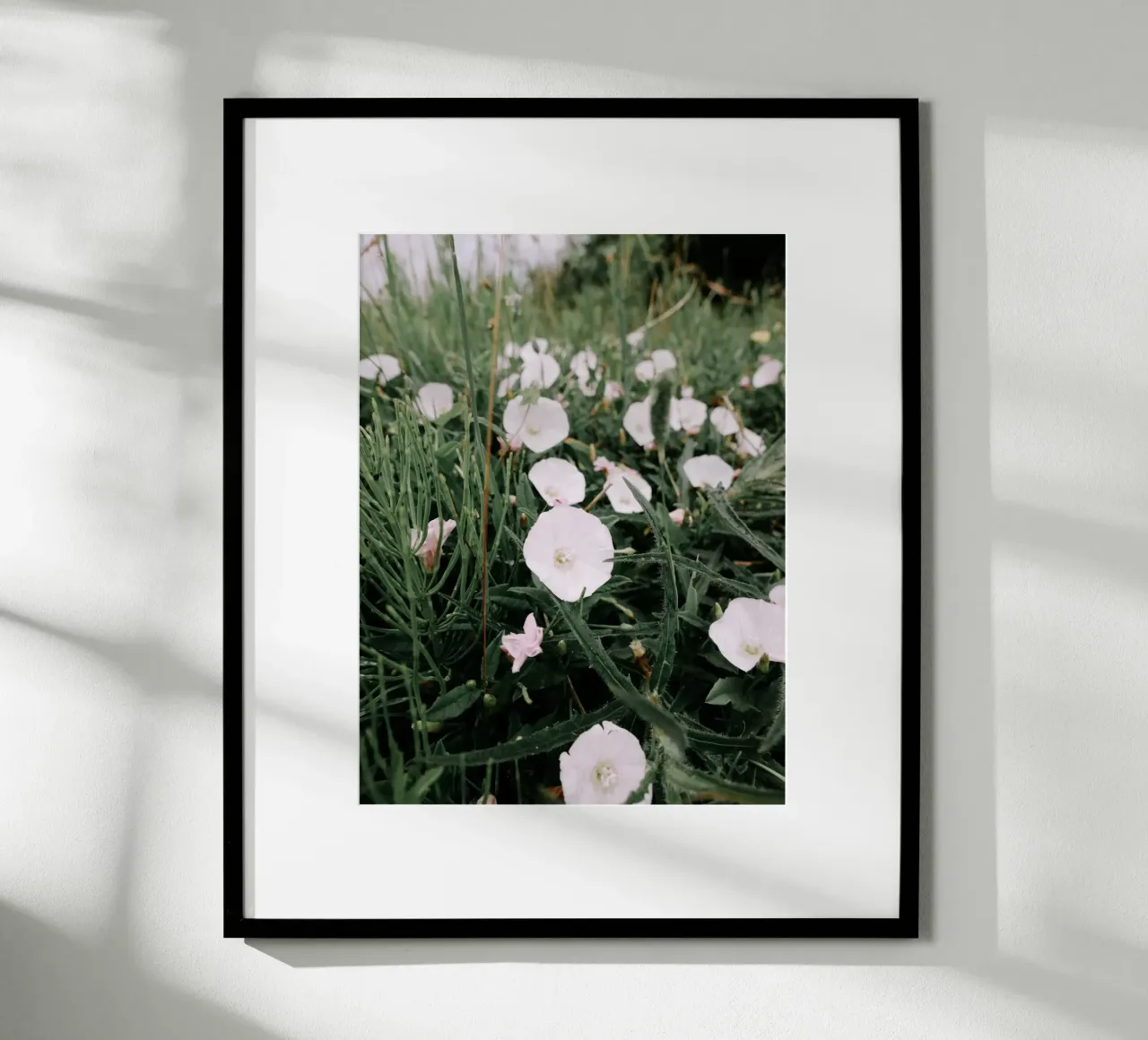 Fiori selvatici poster da Janine Sommer Fotografie