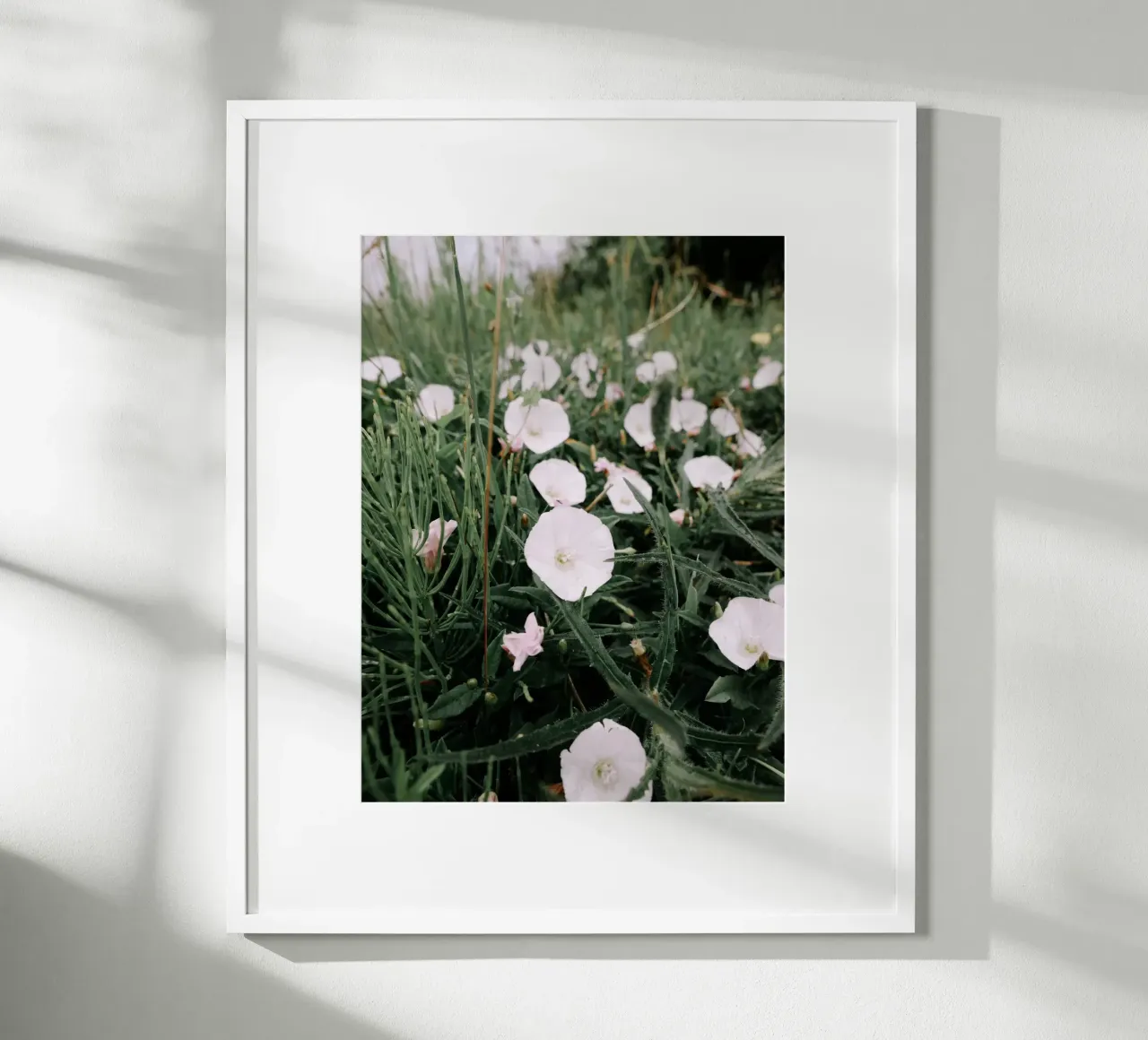 Fiori selvatici poster da Janine Sommer Fotografie