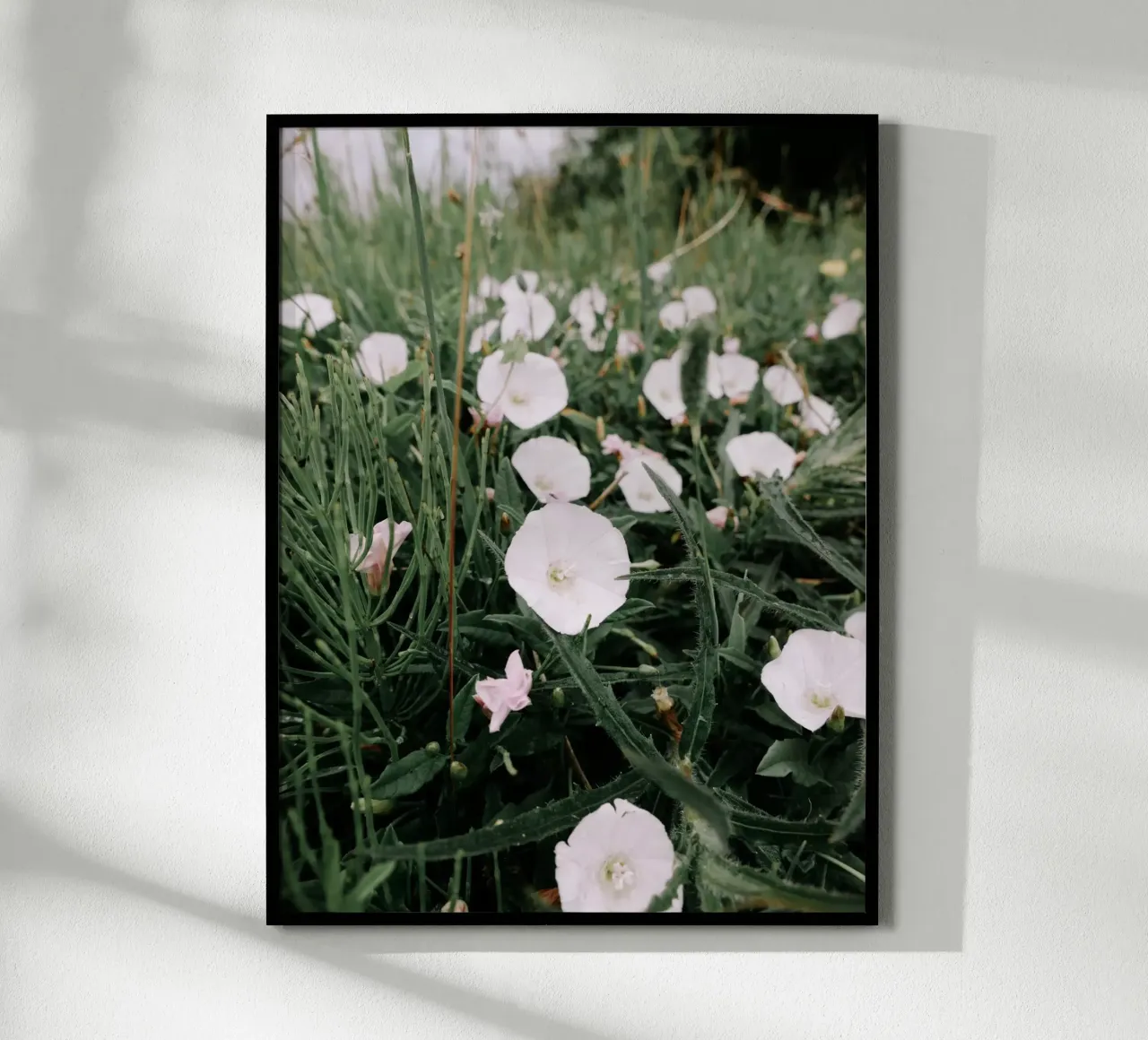 Fiori selvatici poster da Janine Sommer Fotografie