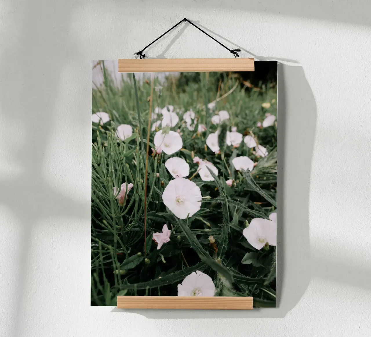Fiori selvatici poster da Janine Sommer Fotografie