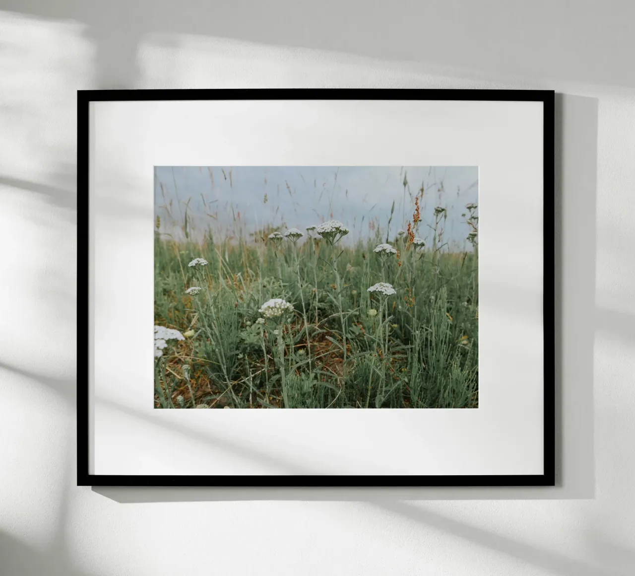 Yarrow poster by Janine Sommer Fotografie