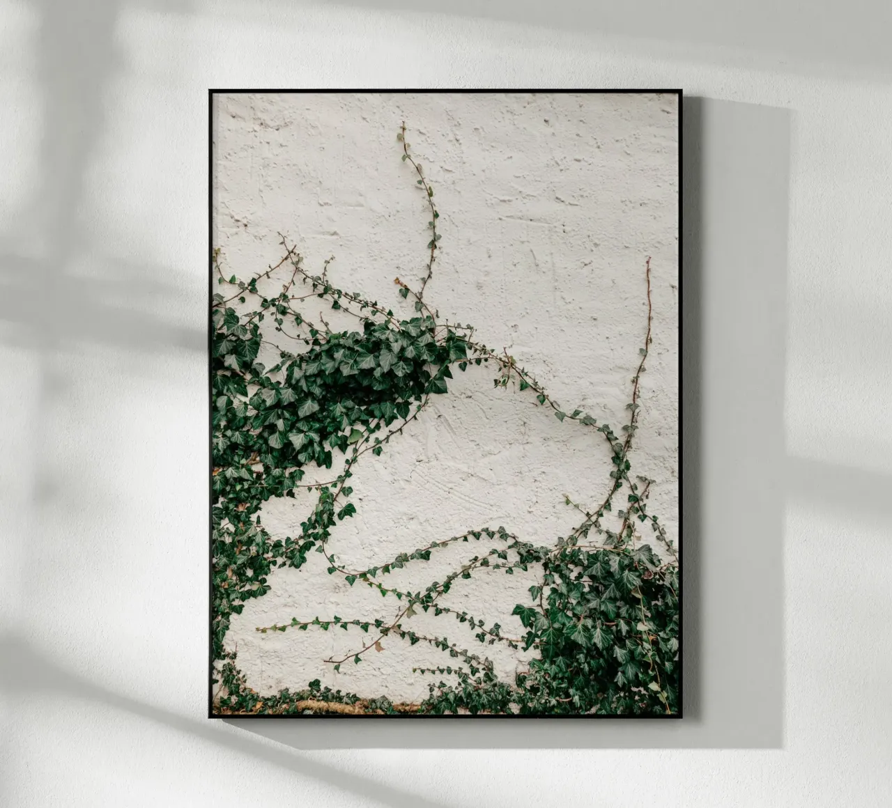 Edera plexiglass da Janine Sommer Fotografie