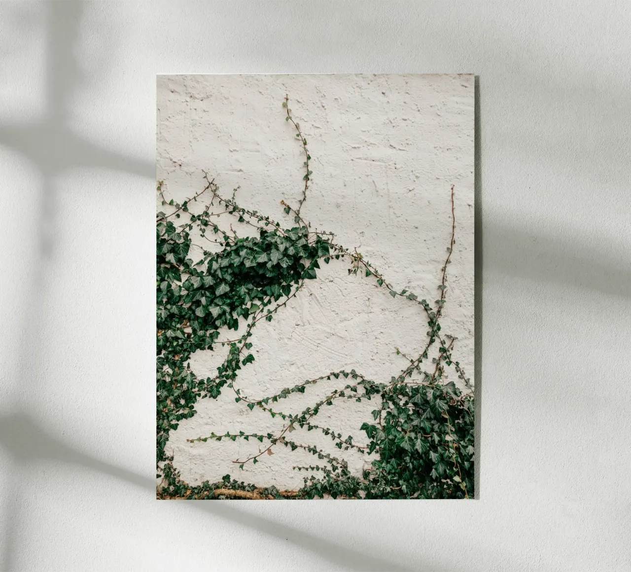 Edera plexiglass da Janine Sommer Fotografie