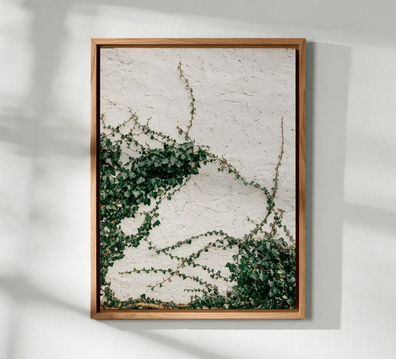 Edera pannello forex da Janine Sommer Fotografie