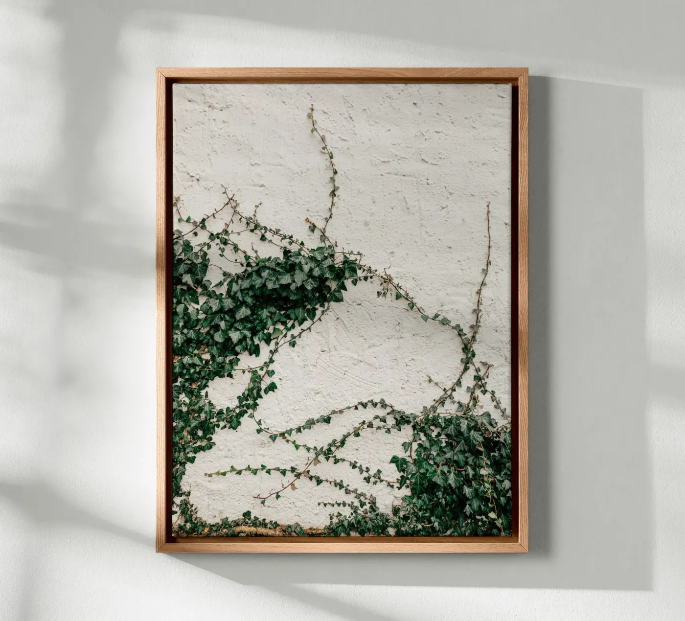 Ivy tela da Janine Sommer Fotografie