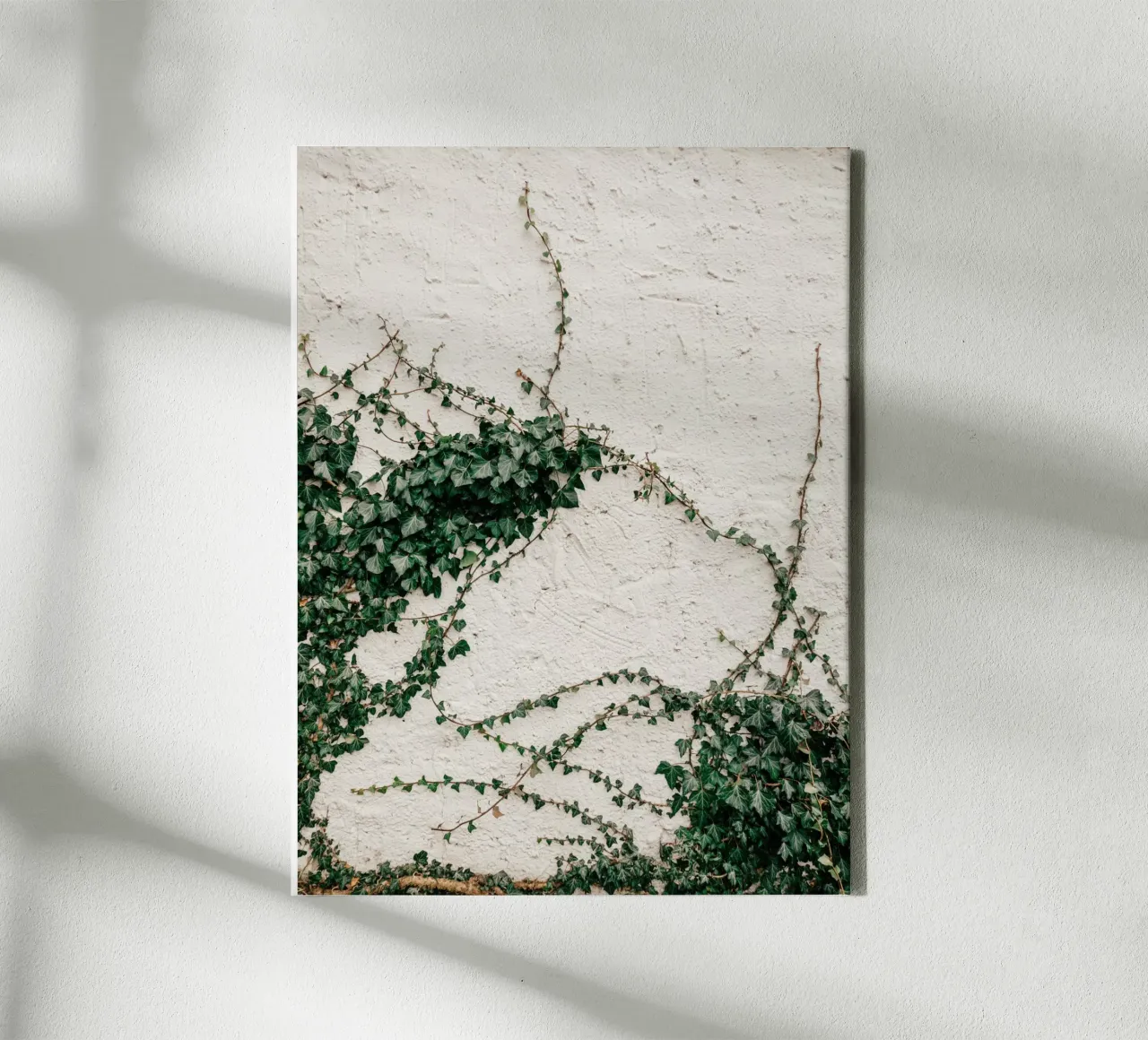 Edera tela da Janine Sommer Fotografie