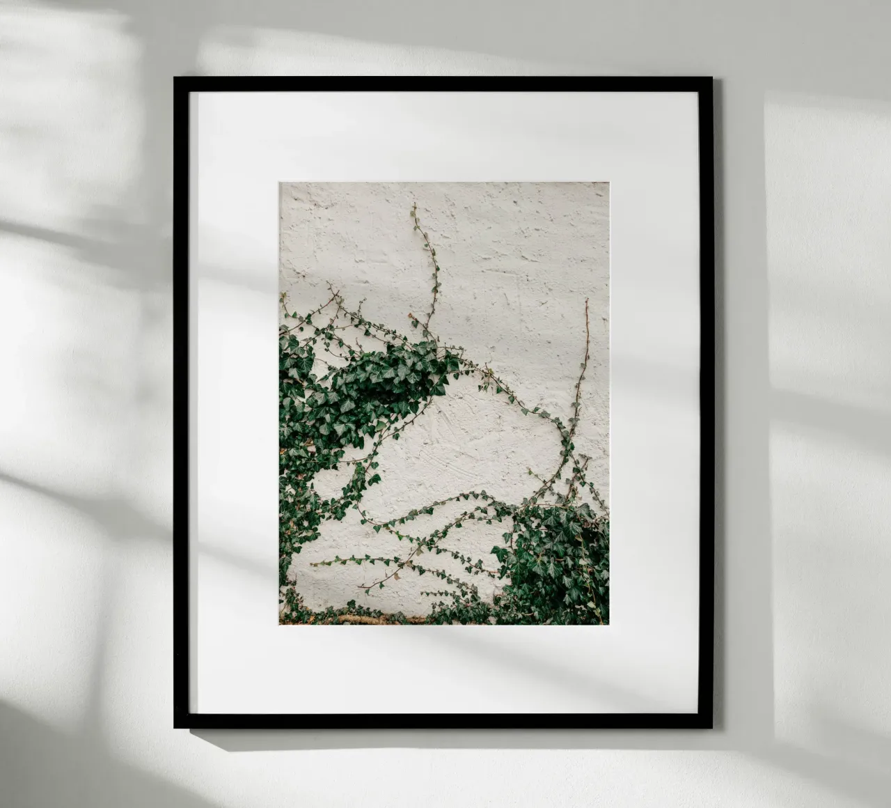 Edera poster da Janine Sommer Fotografie