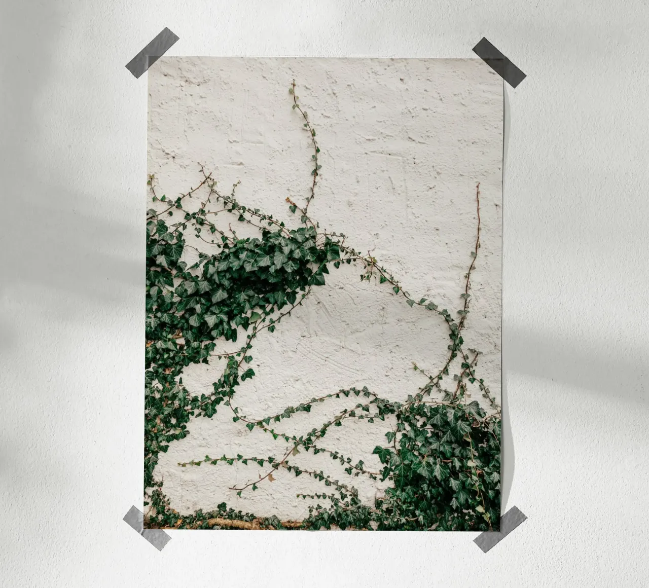 Edera poster da Janine Sommer Fotografie