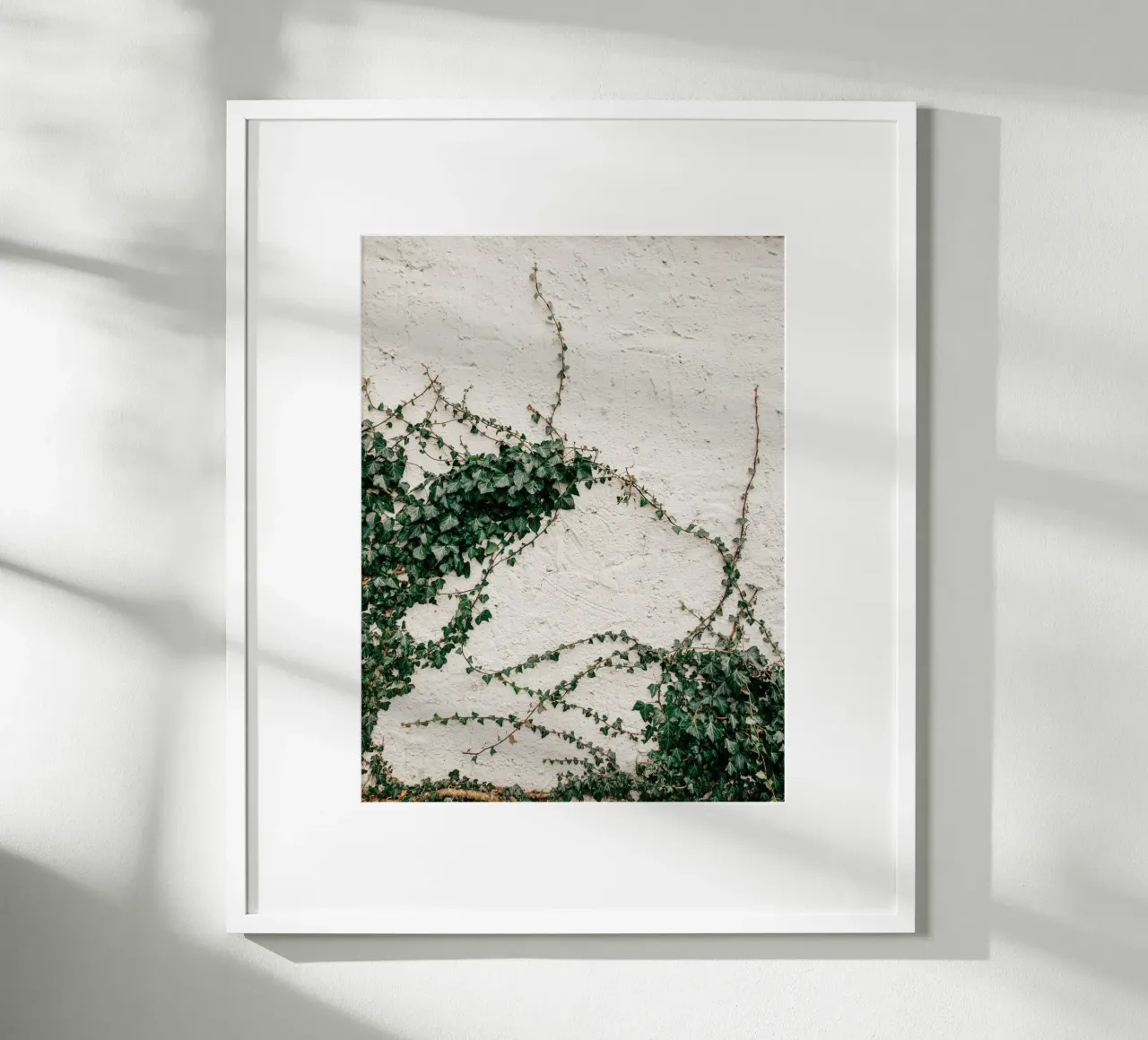 Edera poster da Janine Sommer Fotografie