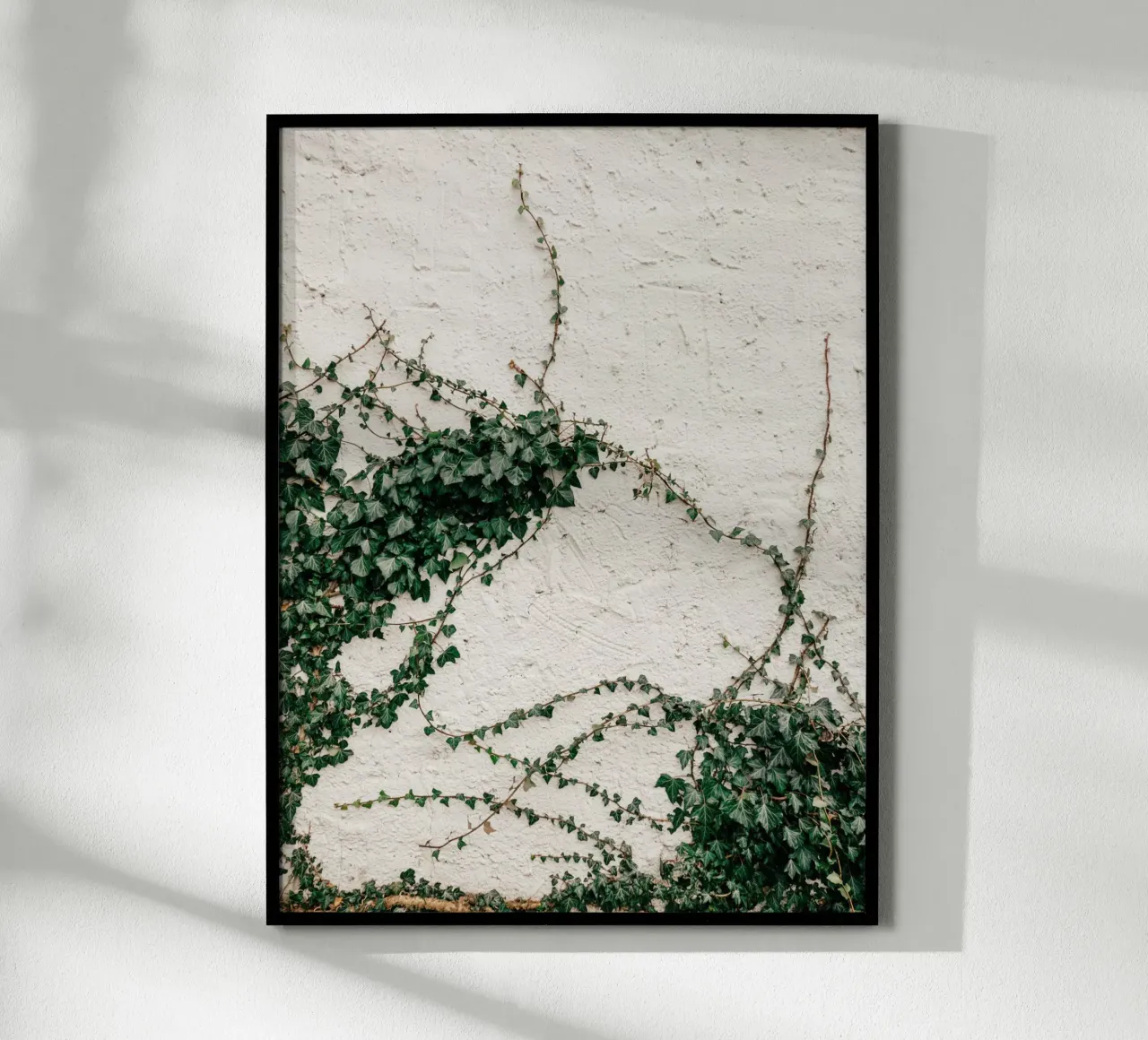 Edera poster da Janine Sommer Fotografie