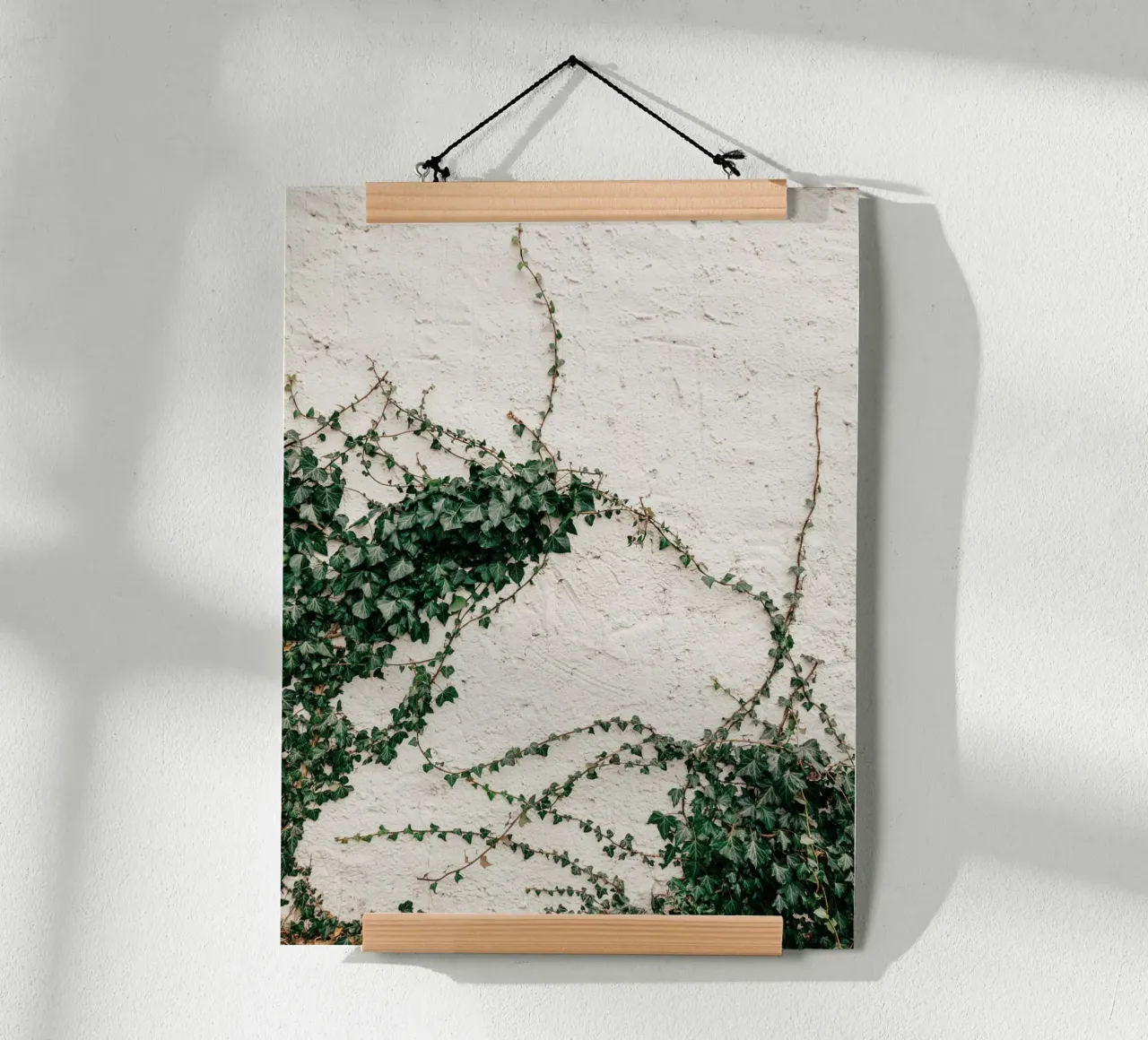 Edera poster da Janine Sommer Fotografie