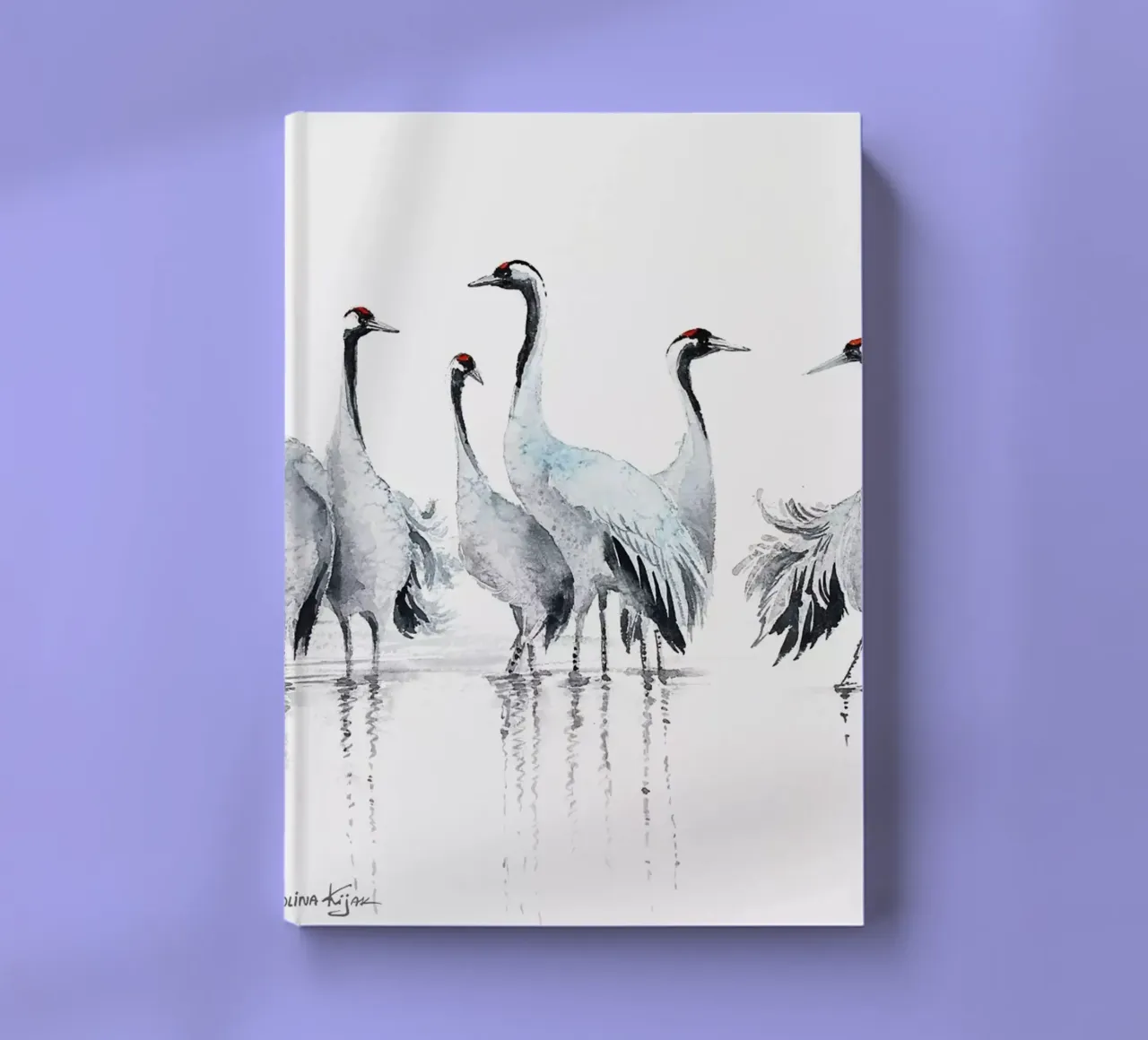 Common cranes composition diario da Karolina Kijak