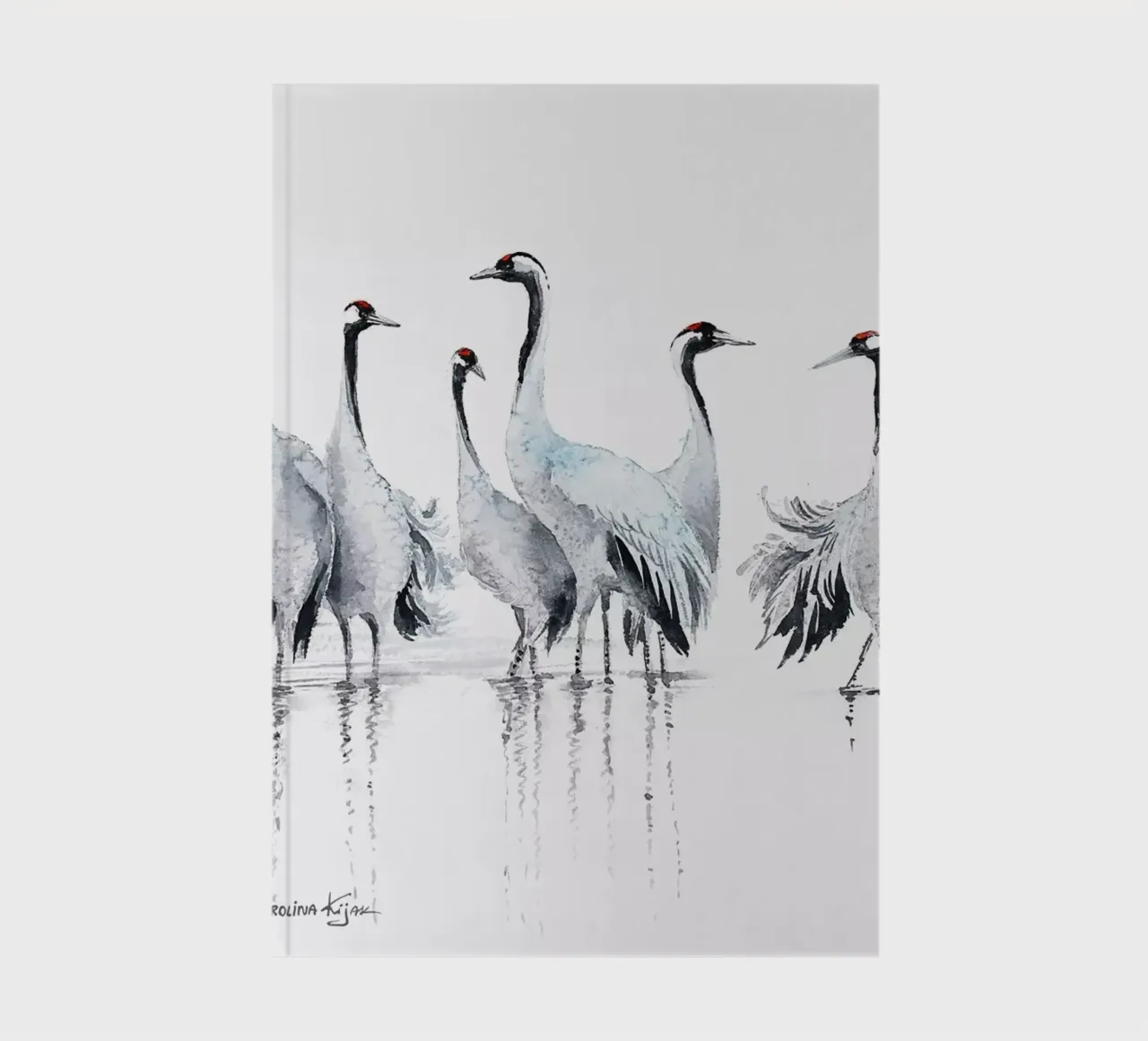 Common cranes composition diario da Karolina Kijak