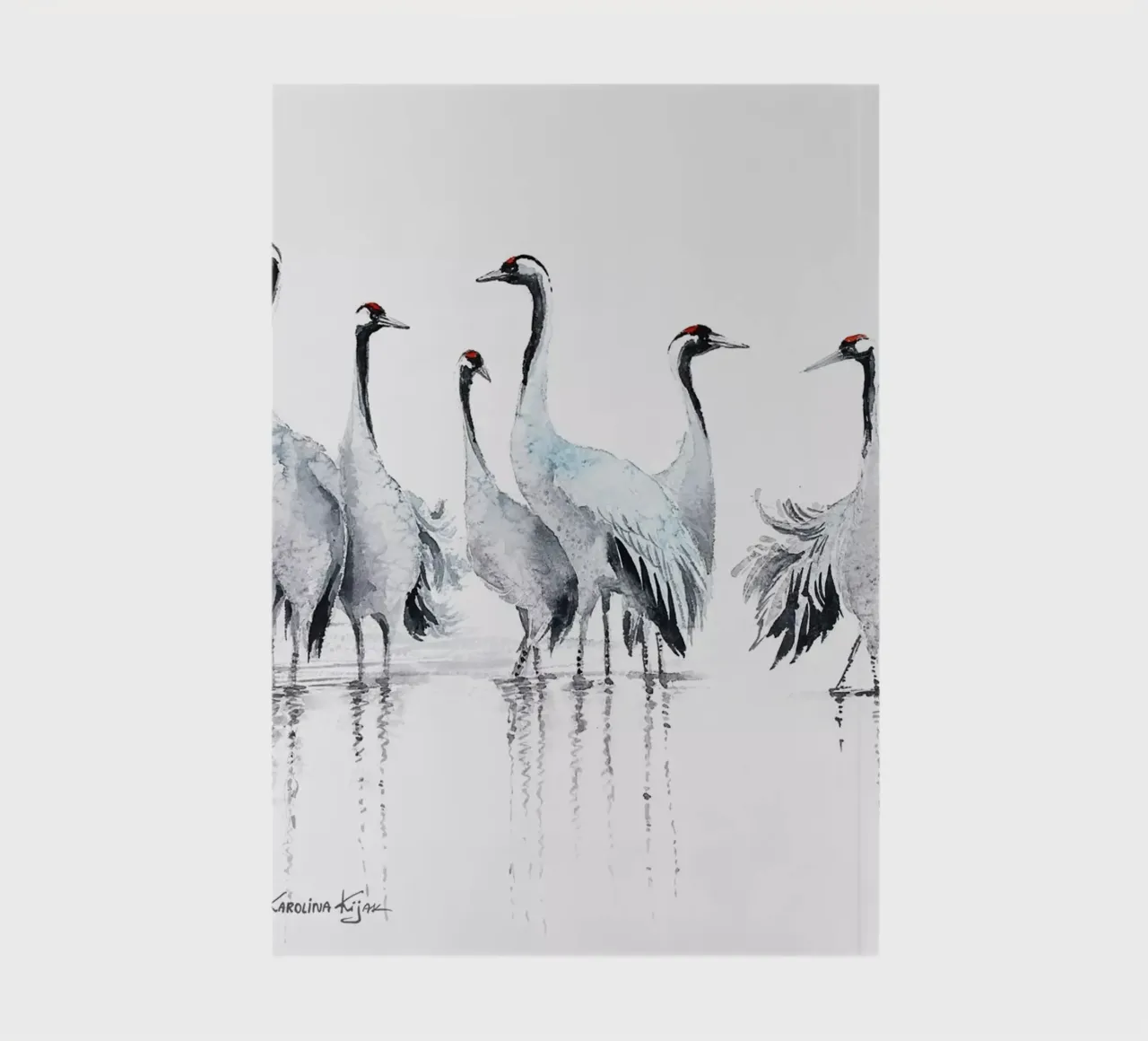 Common cranes composition diario da Karolina Kijak