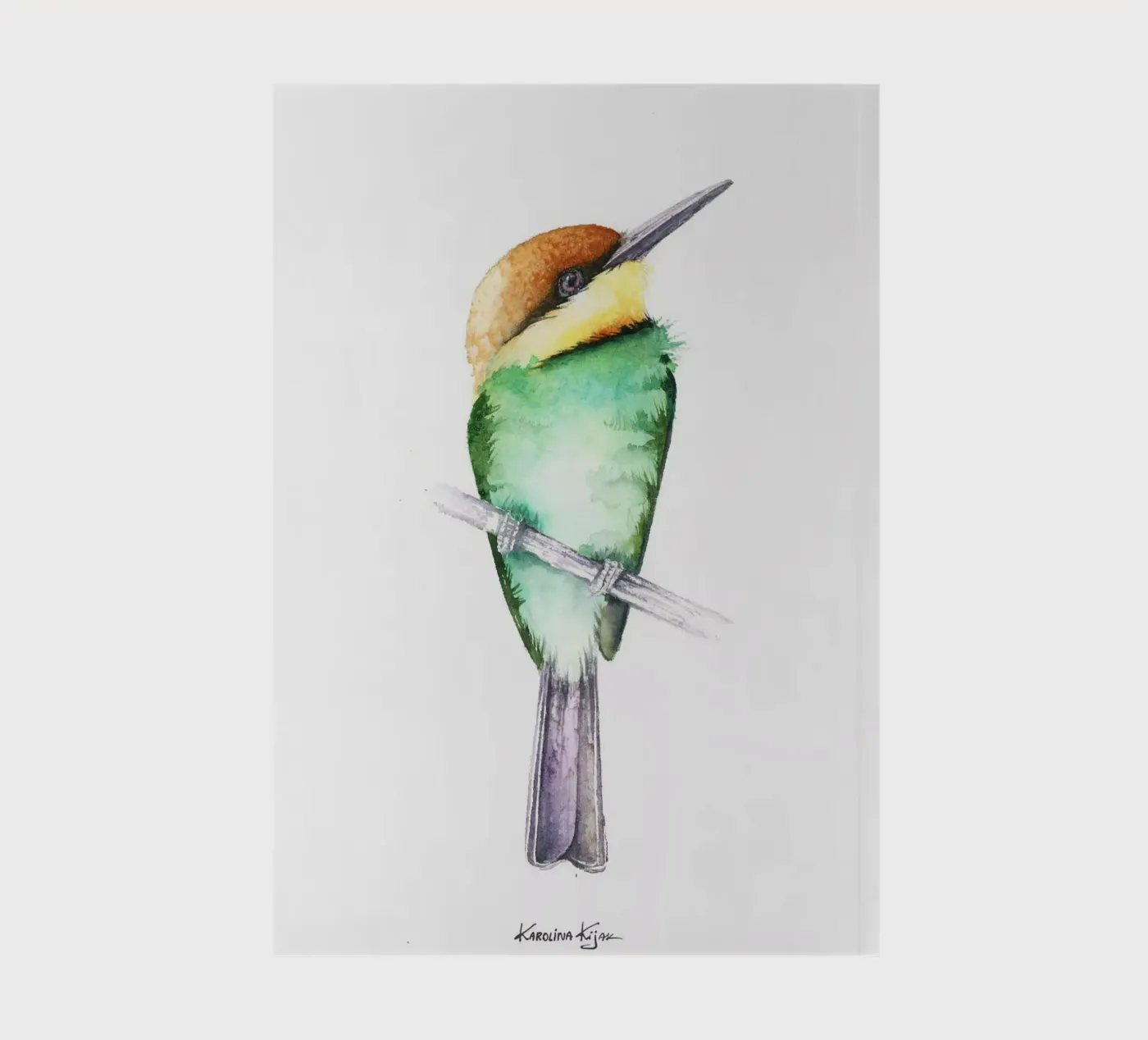 Bee-eater bird notebook by Karolina Kijak