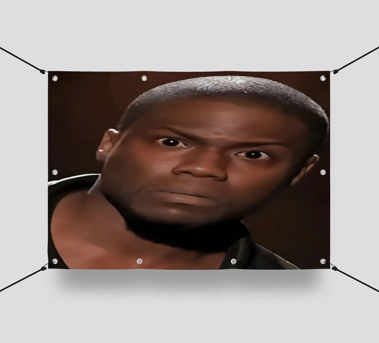 "Did just hear that right?" telo in pvc da Low poly art