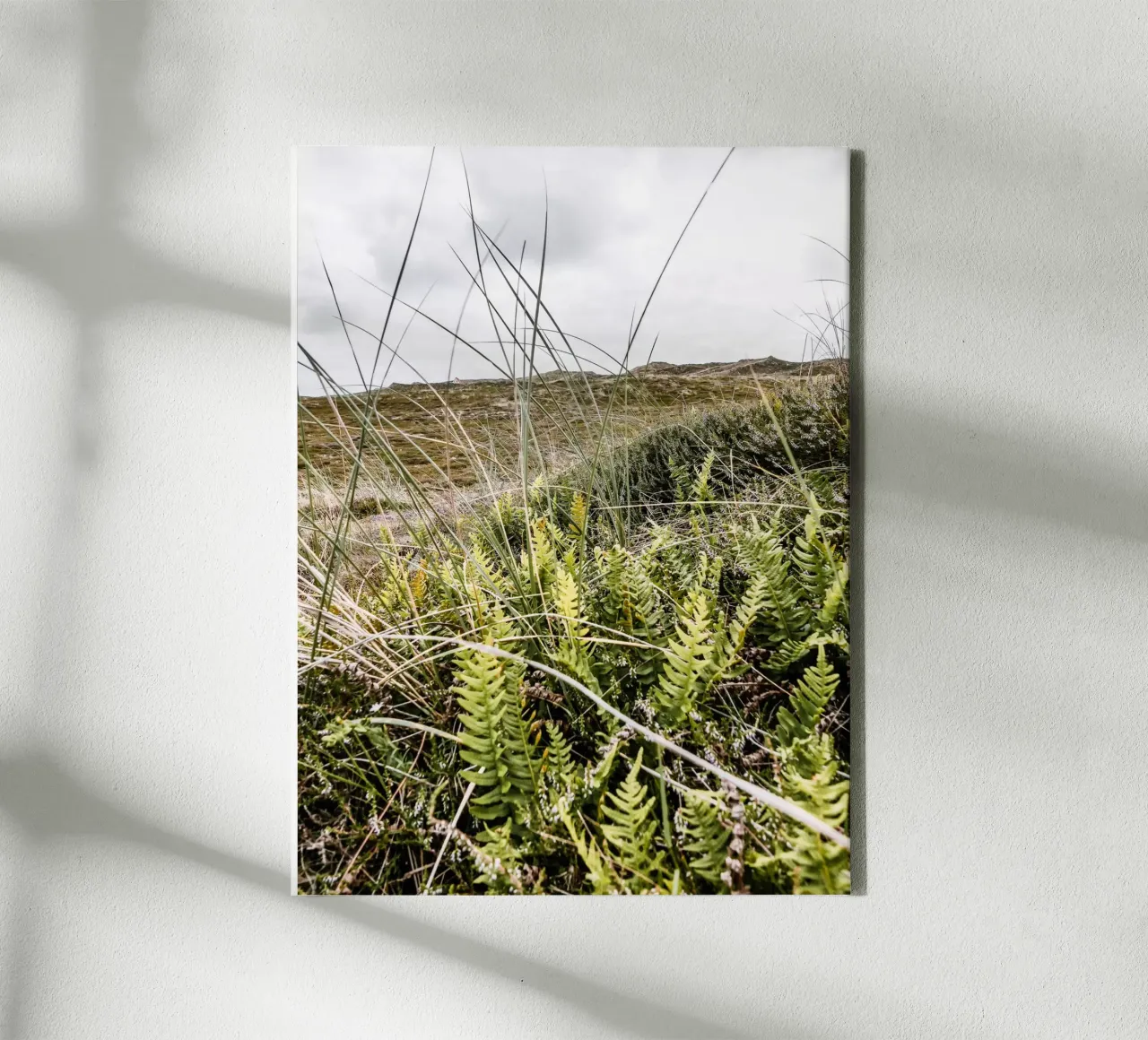 Dune in Jutland canvas with Floater frame by Janine Sommer Fotografie