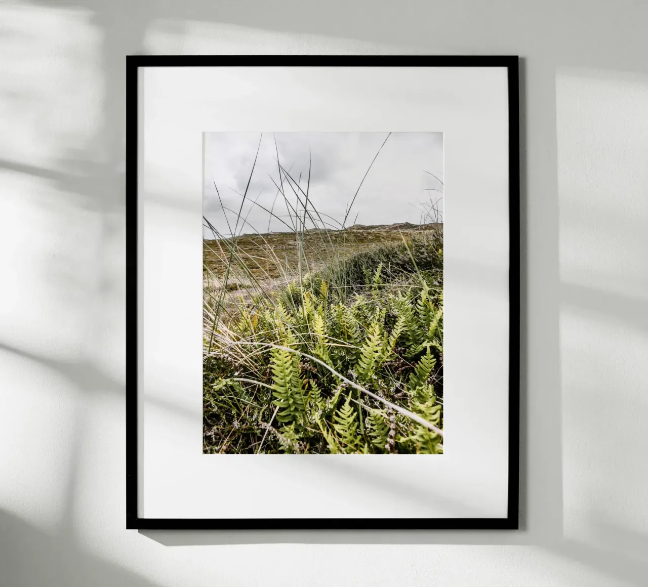 Düne in Jütland Poster von Janine Sommer Fotografie