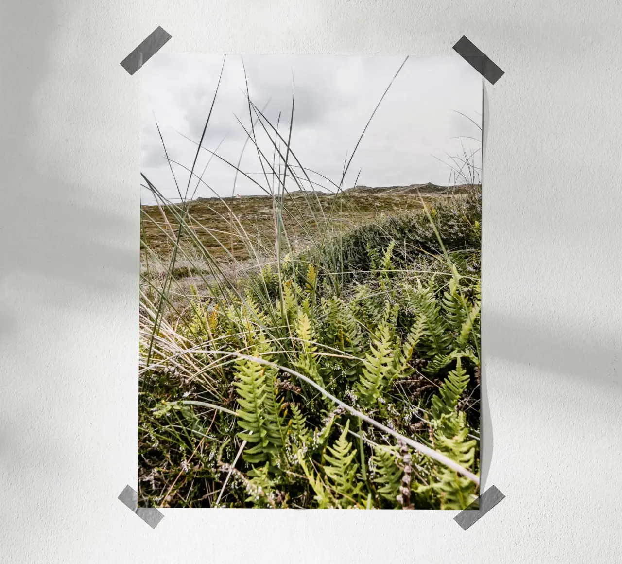 Düne in Jütland Poster von Janine Sommer Fotografie