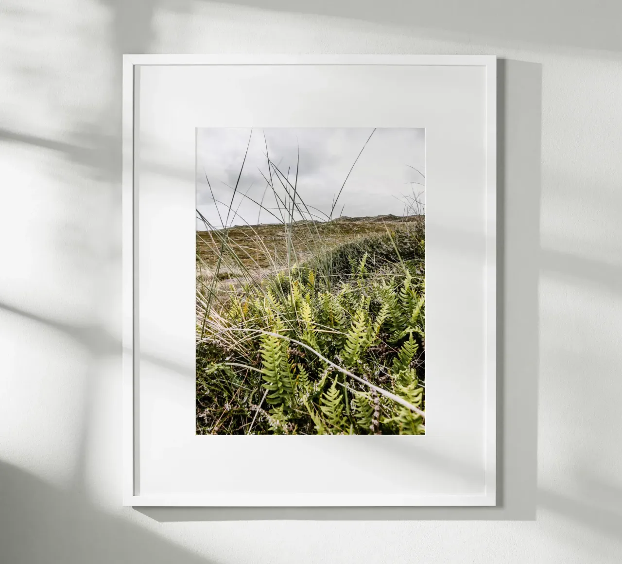 Düne in Jütland Poster von Janine Sommer Fotografie