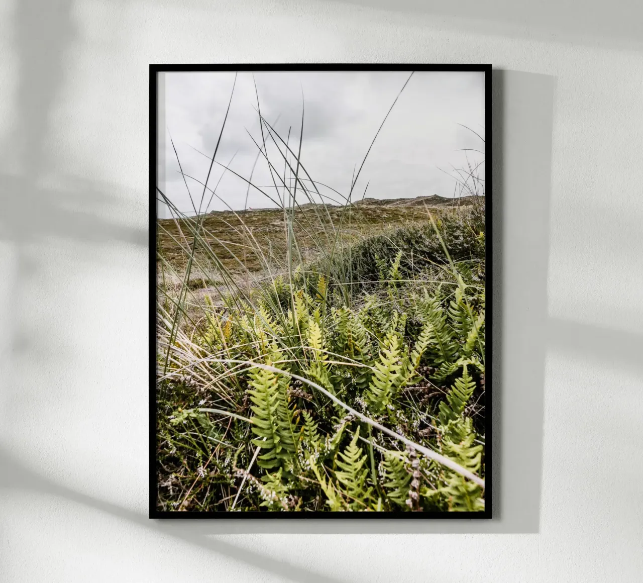 Düne in Jütland Poster von Janine Sommer Fotografie