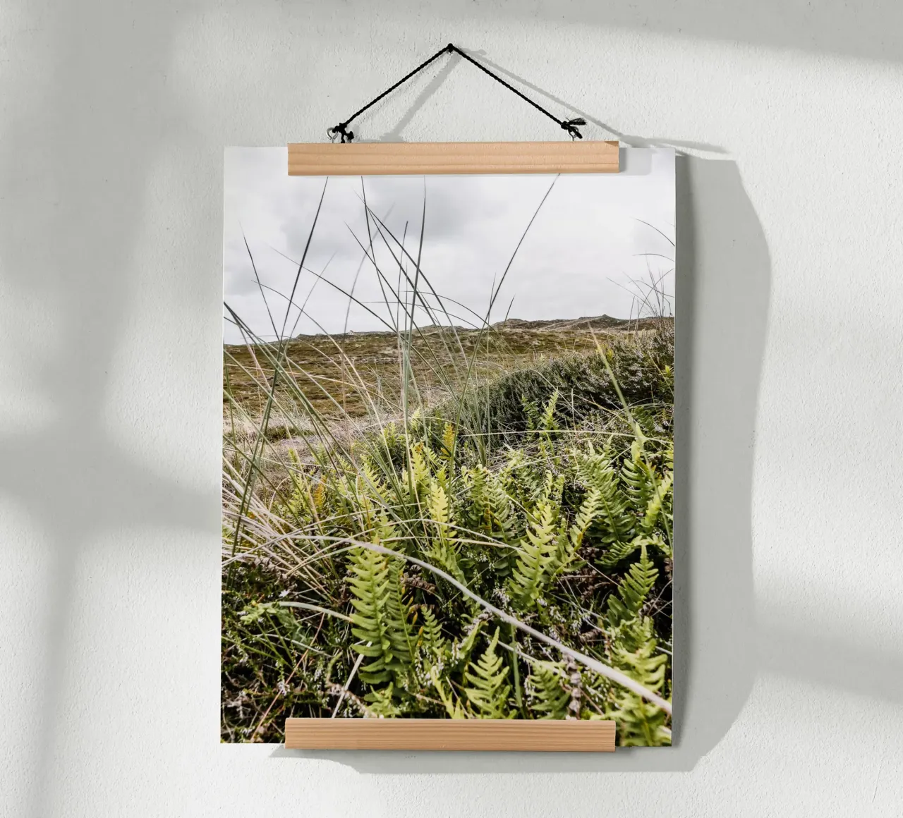 Düne in Jütland Poster von Janine Sommer Fotografie