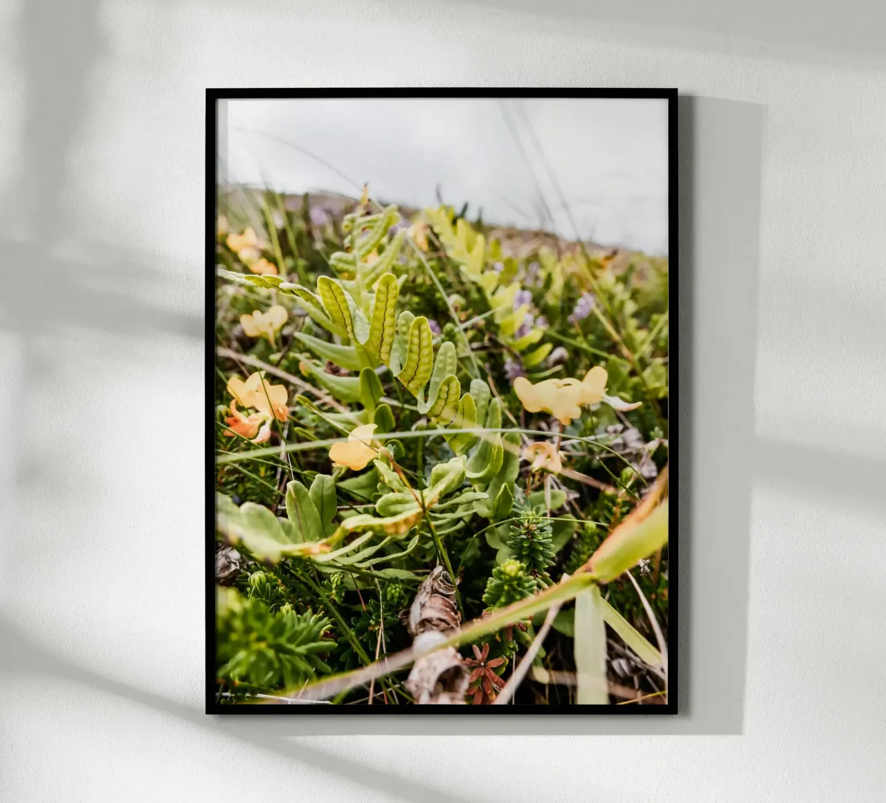 Felce nella brughiera poster con telaio in legno da Janine Sommer Fotografie