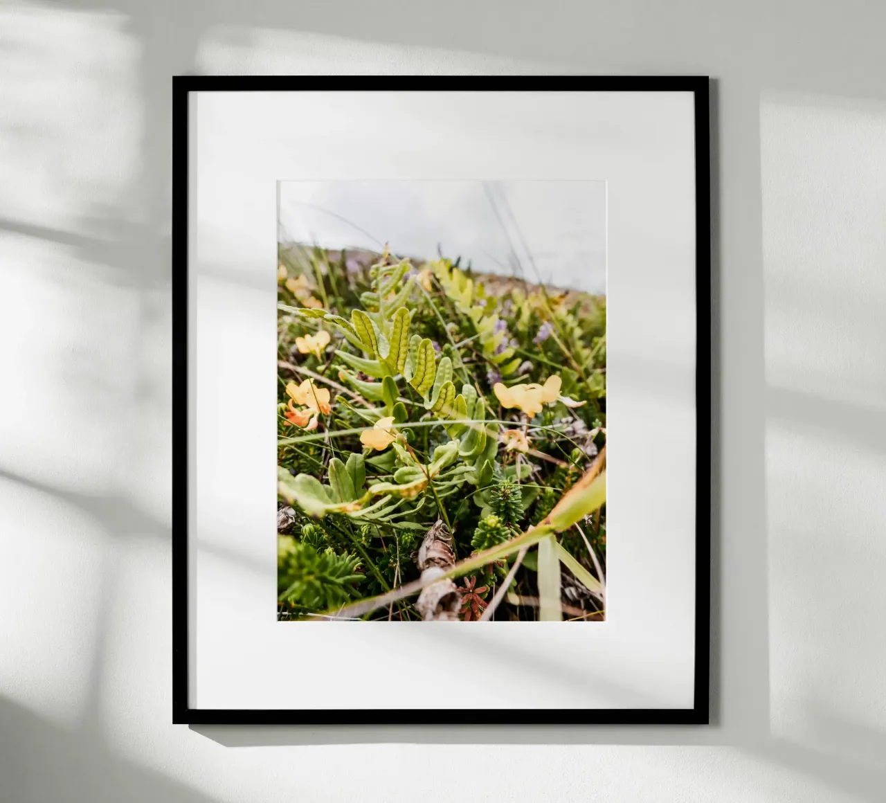 Felce nella brughiera poster con telaio in legno da Janine Sommer Fotografie