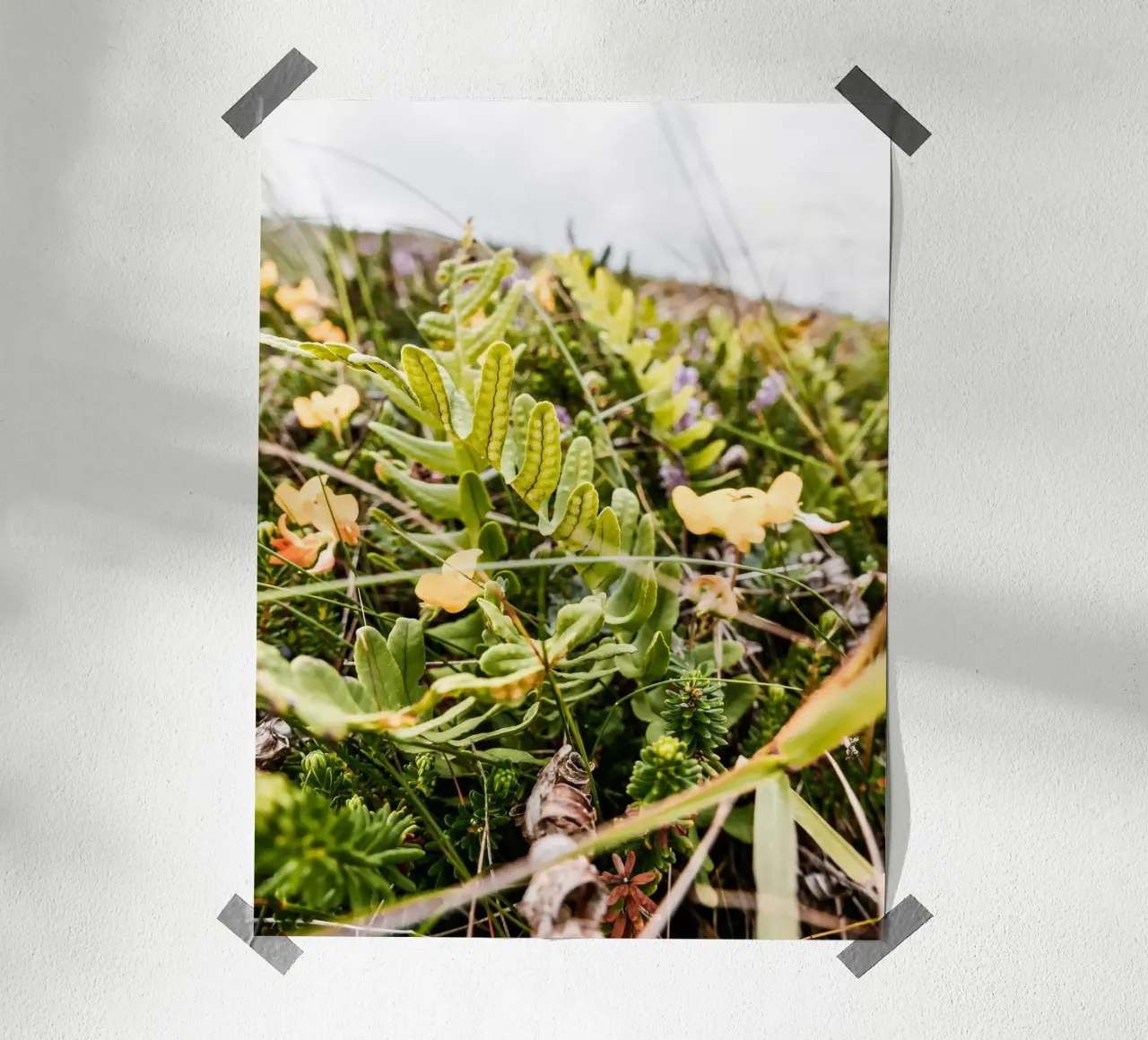 Felce nella brughiera poster con telaio in legno da Janine Sommer Fotografie