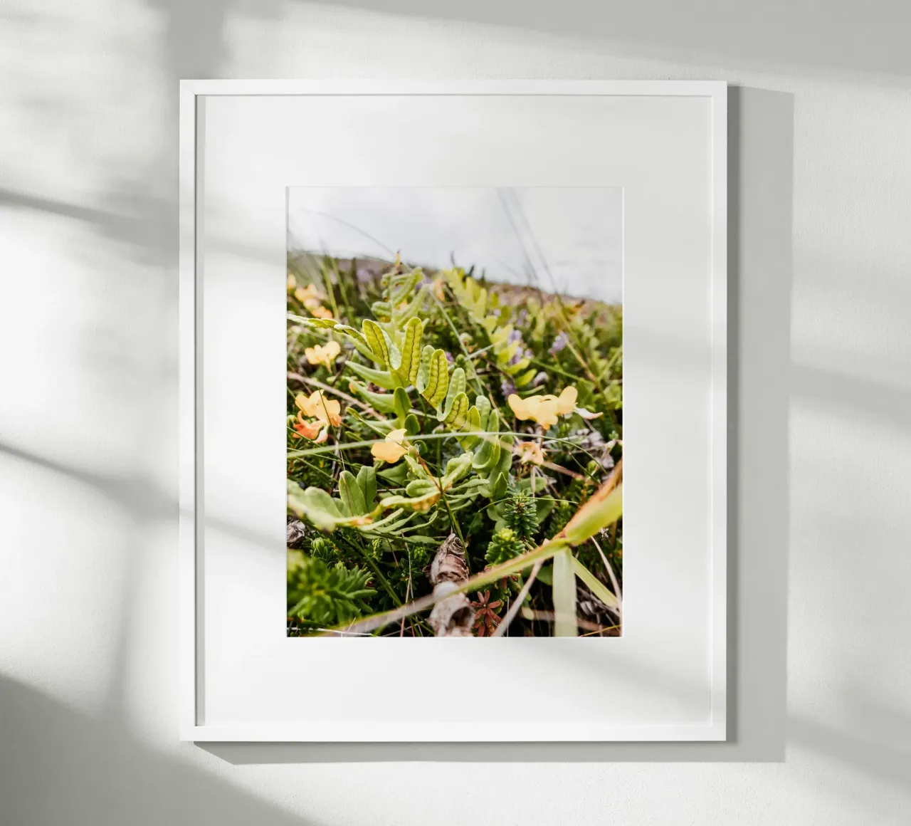 Felce nella brughiera poster con telaio in legno da Janine Sommer Fotografie