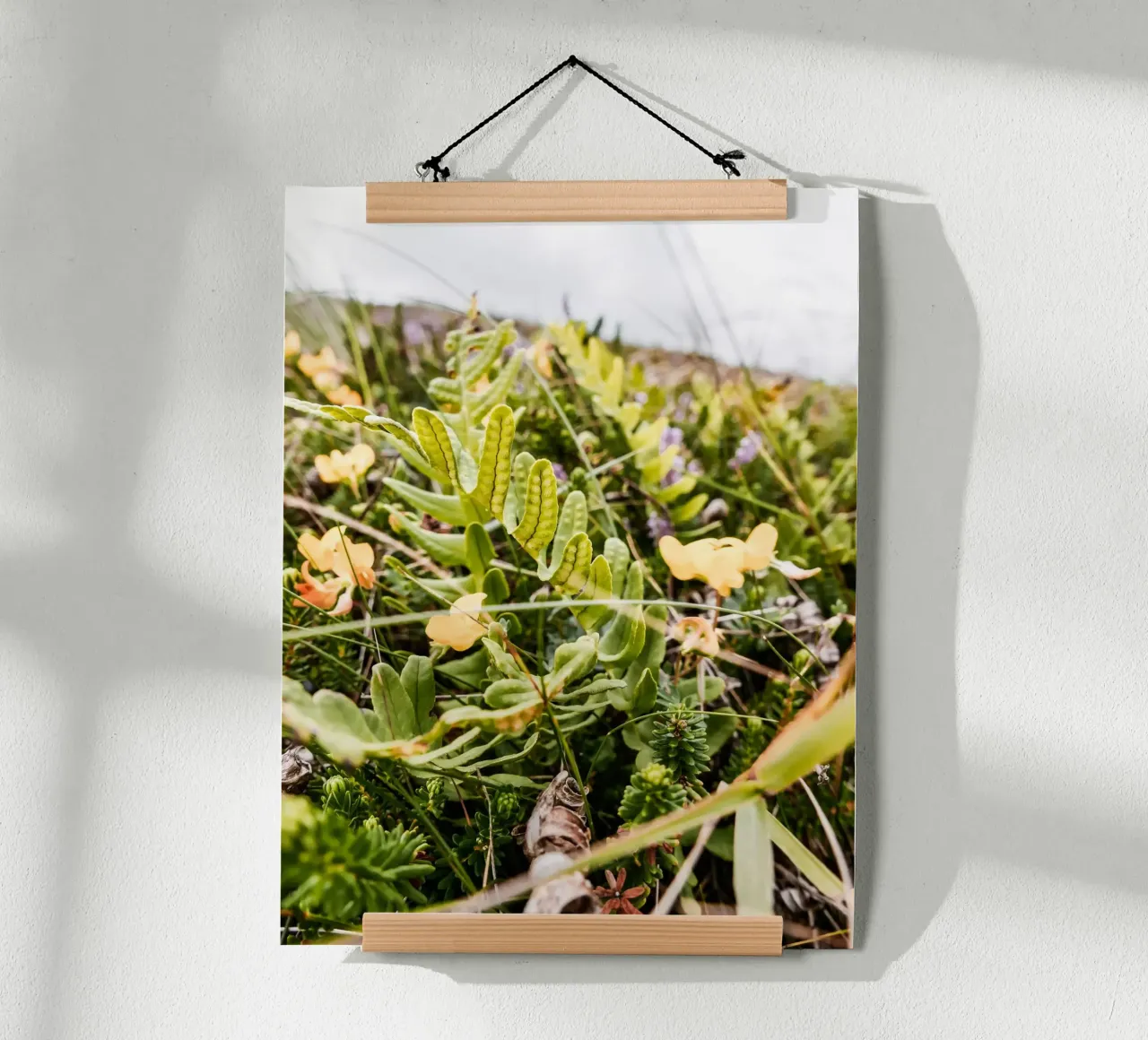 Felce nella brughiera poster con telaio in legno da Janine Sommer Fotografie