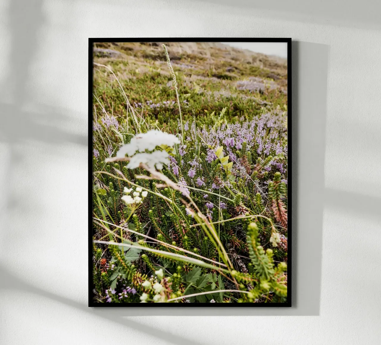 dänische Heide Poster mit Holzrahmen von Janine Sommer Fotografie