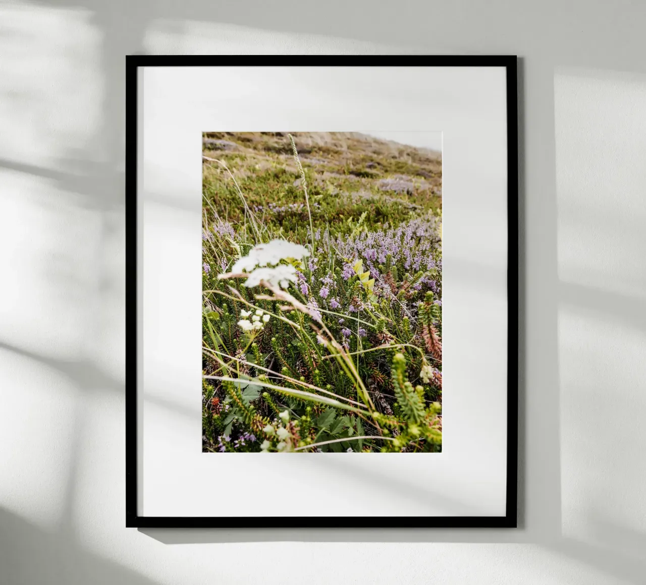 dänische Heide Poster mit Holzrahmen von Janine Sommer Fotografie