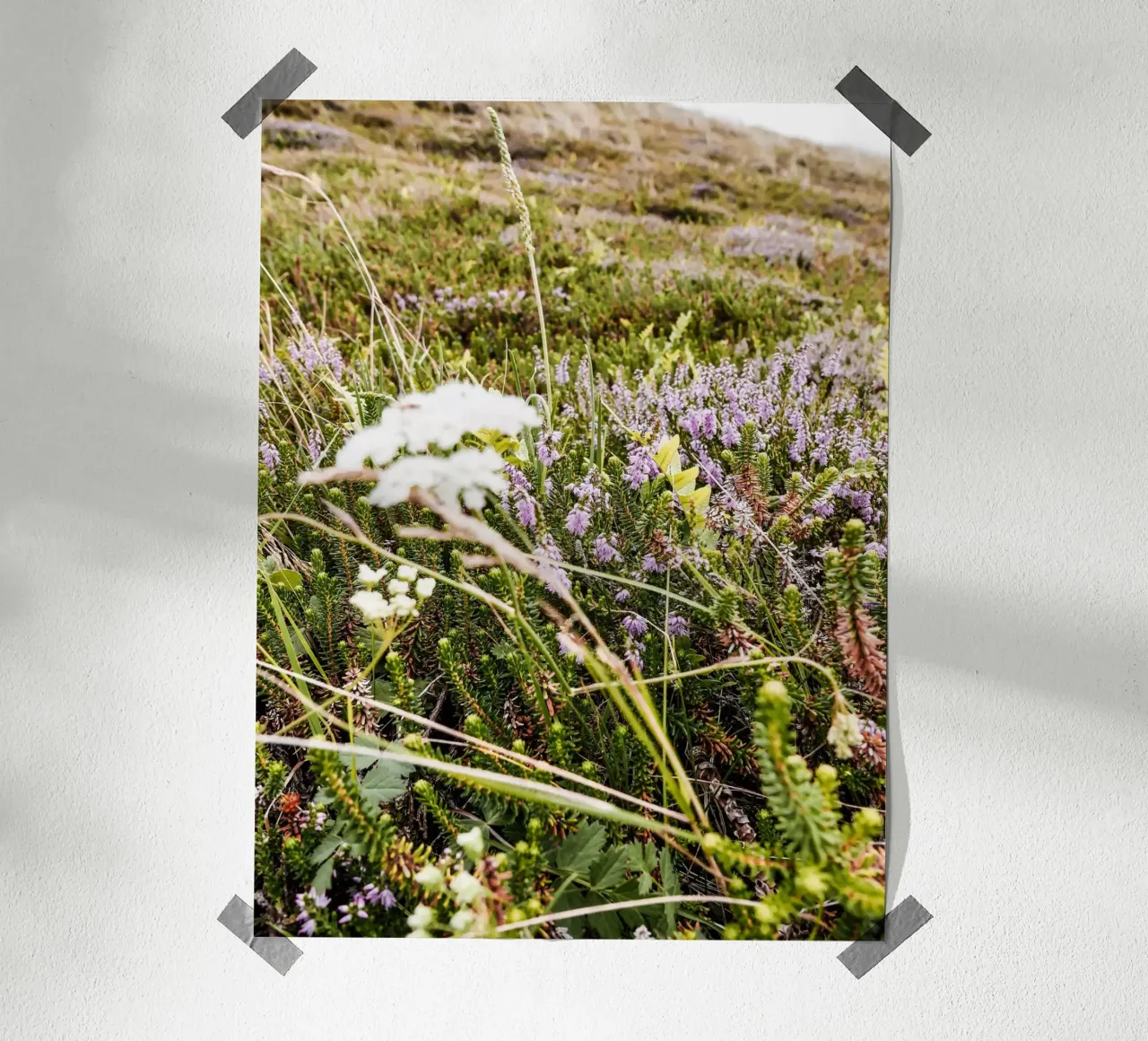 dänische Heide Poster mit Holzrahmen von Janine Sommer Fotografie