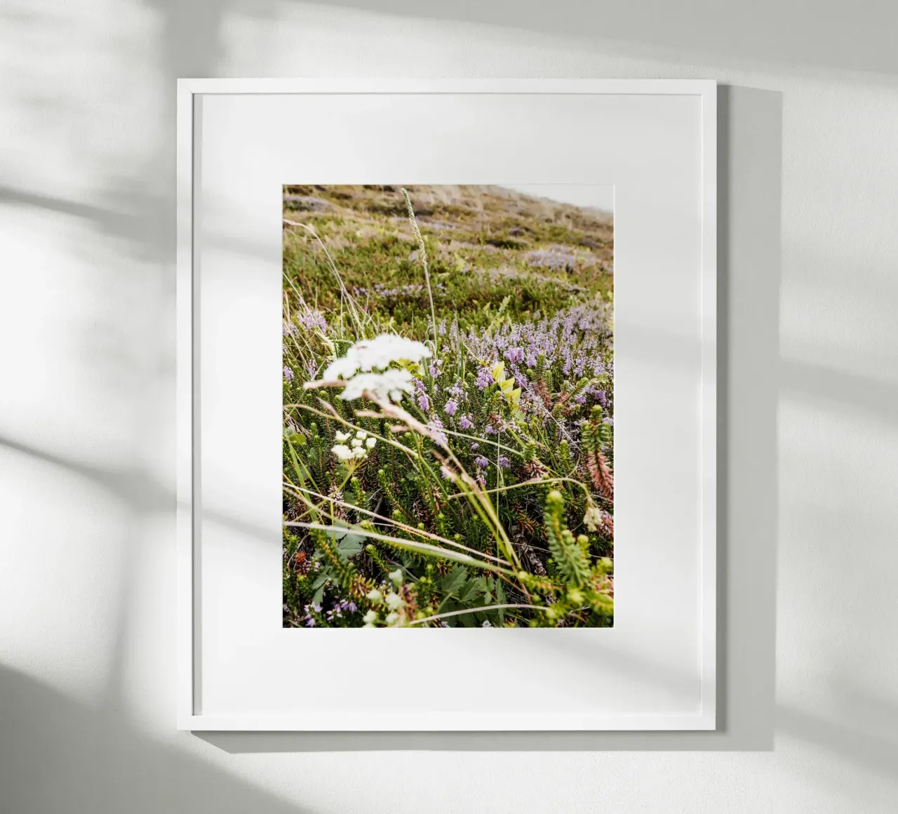 dänische Heide Poster mit Holzrahmen von Janine Sommer Fotografie