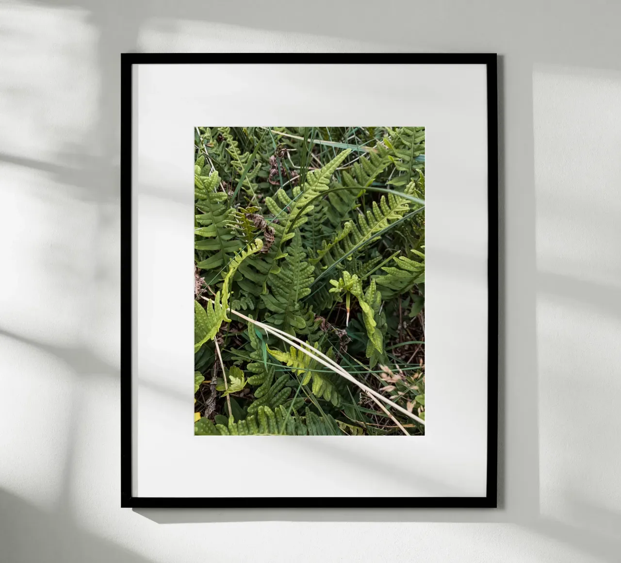 Felci nello Jutland poster con telaio in legno da Janine Sommer Fotografie