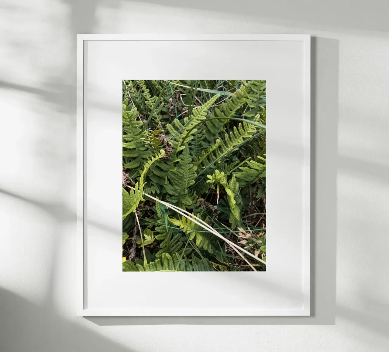 Felci nello Jutland poster con telaio in legno da Janine Sommer Fotografie