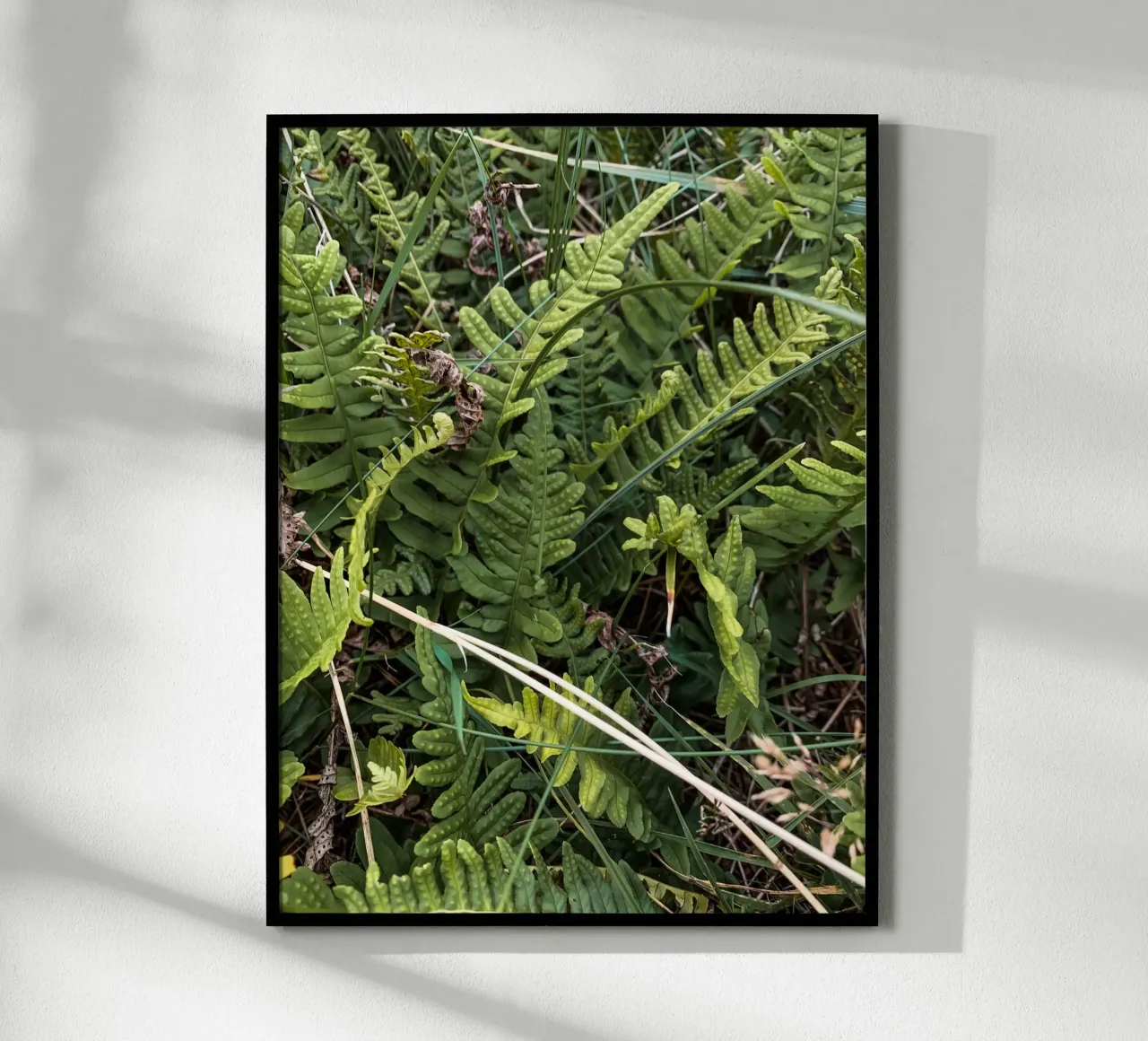 Felci nello Jutland poster con telaio in legno da Janine Sommer Fotografie