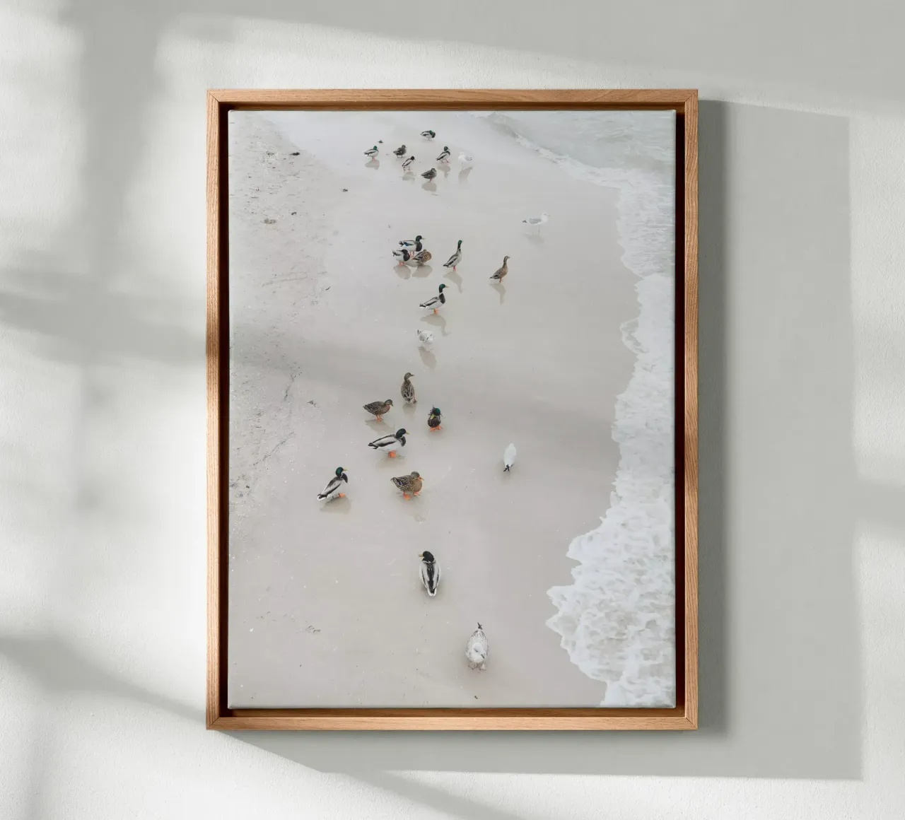 Eendenwandeling canvas met Baklijst van Janine Sommer Fotografie