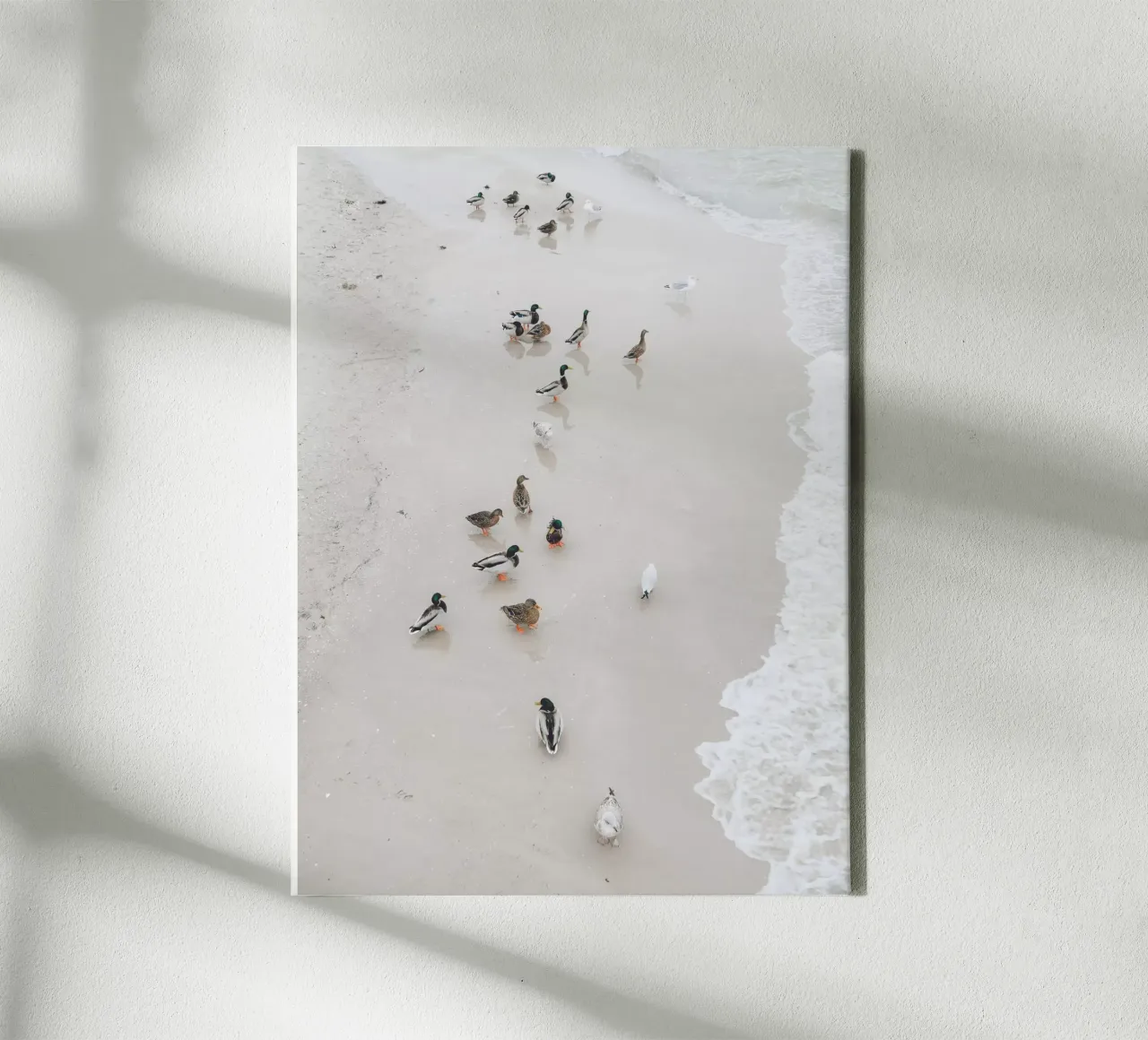 Eendenwandeling canvas met Baklijst van Janine Sommer Fotografie