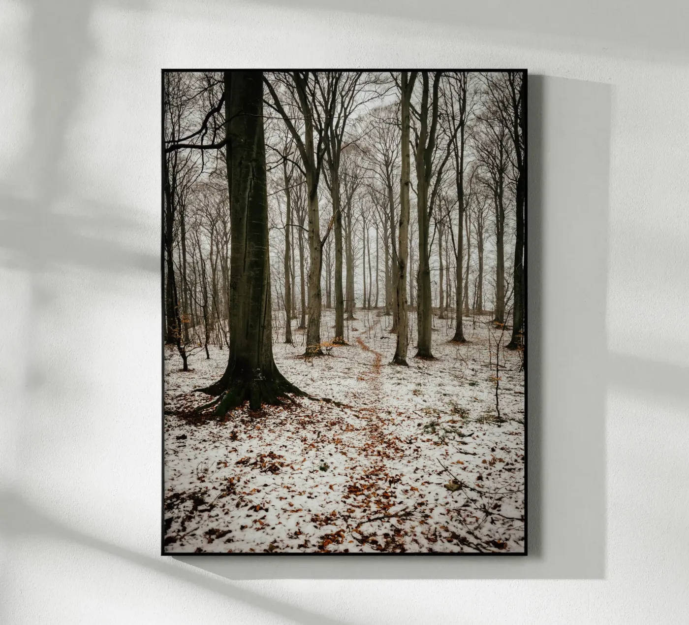 Inverno nella foresta plexiglass da Janine Sommer Fotografie