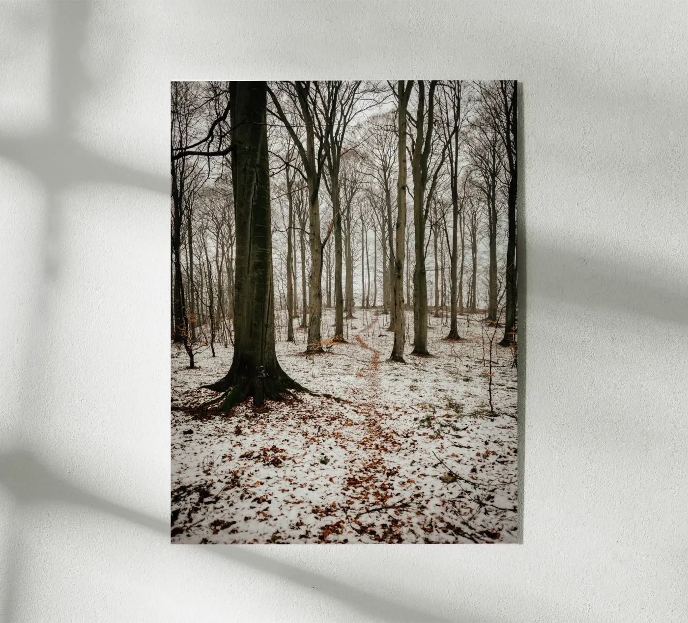 Inverno nella foresta plexiglass da Janine Sommer Fotografie