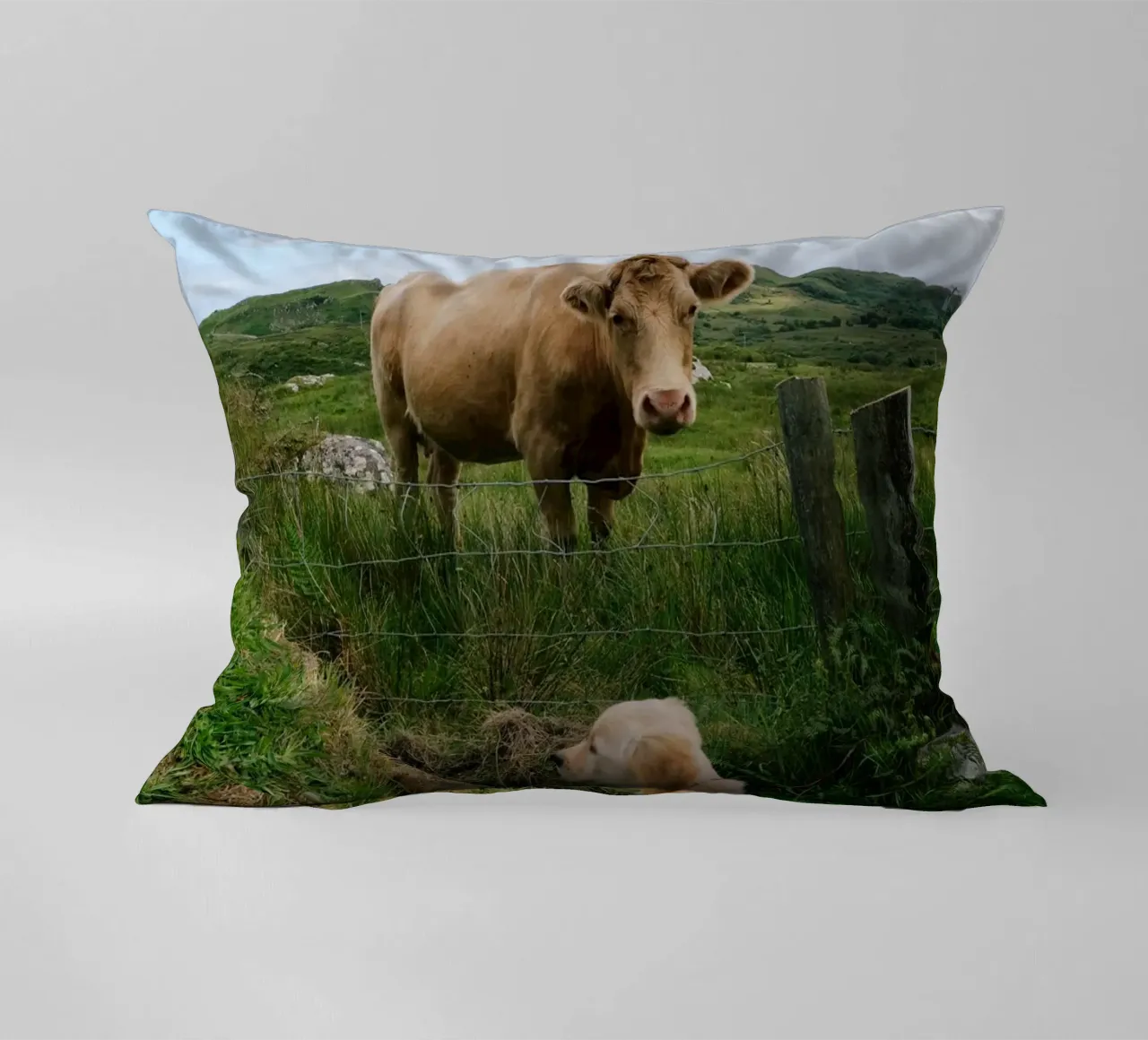 Uno sguardo curioso oltre la recinzione cuscino da The Wild Creative Studio