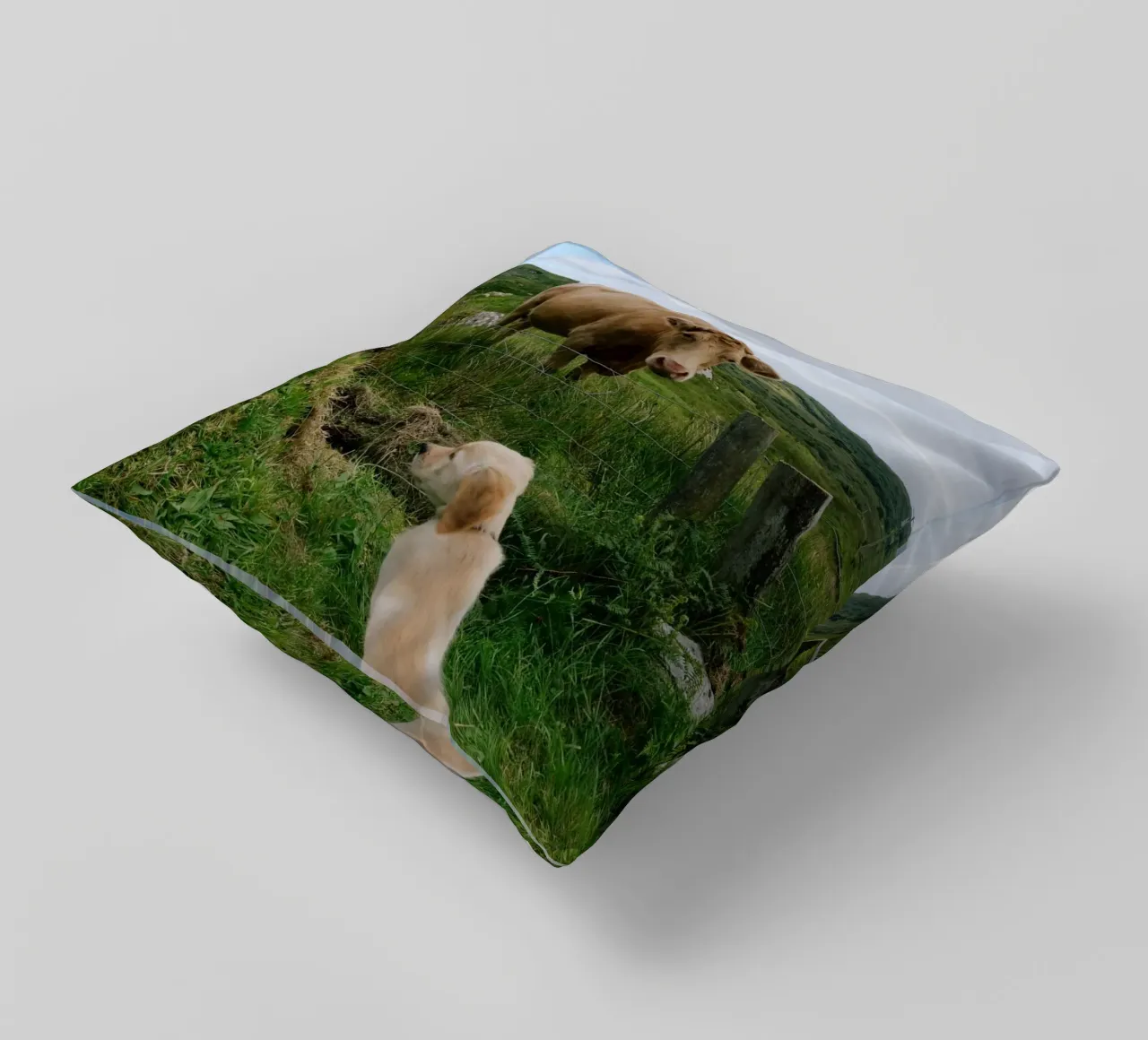 Uno sguardo curioso oltre la recinzione cuscino da The Wild Creative Studio