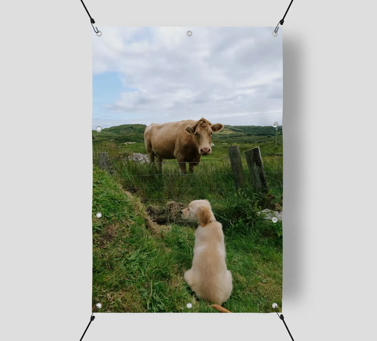 Uno sguardo curioso oltre la recinzione telo in pvc da The Wild Creative Studio